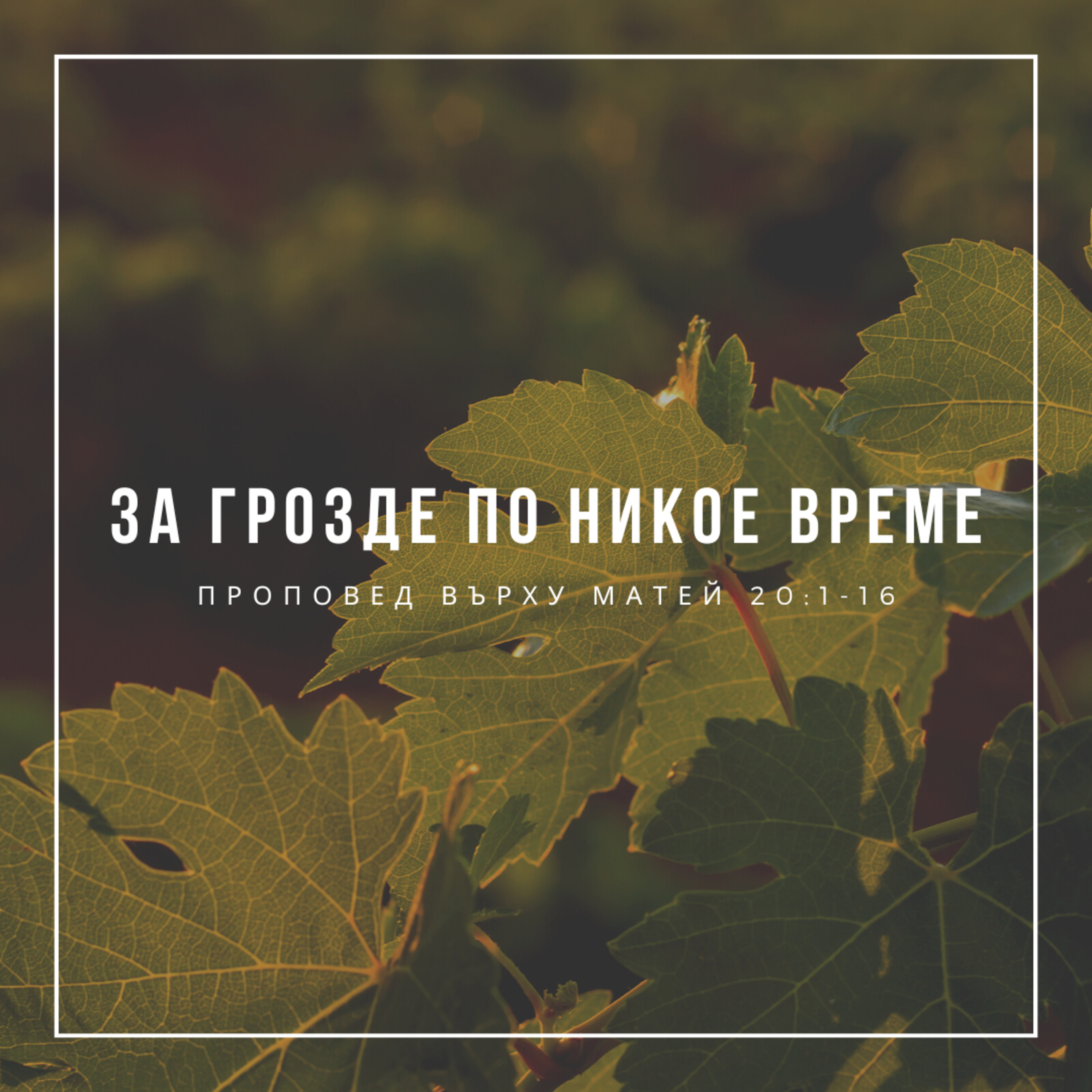 За грозде по никое време (Матей 20:1-16)- п-р Христо Станев episode artwork