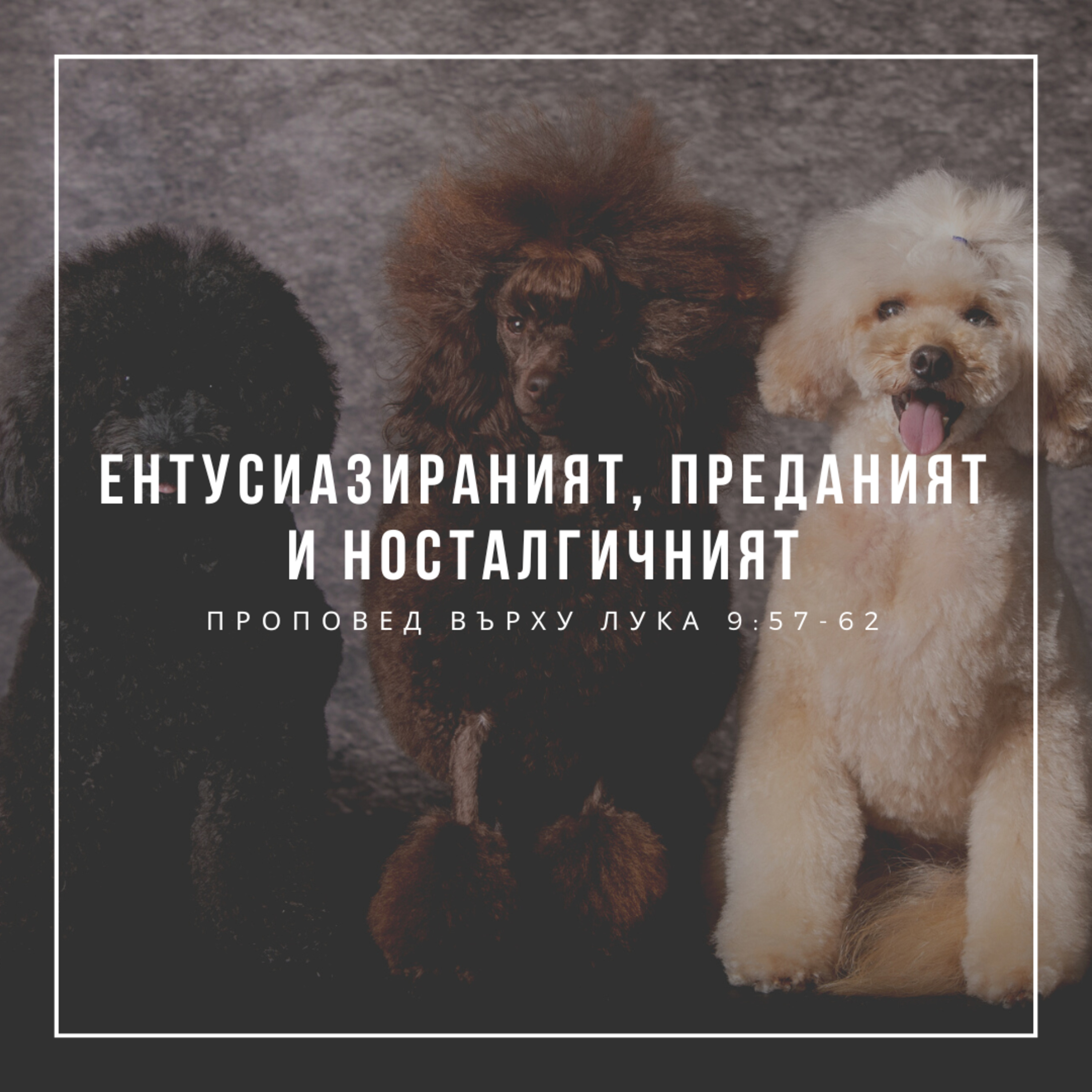 Ентусиазираният, преданият и носталгичният (Лука 9:57-62) episode artwork