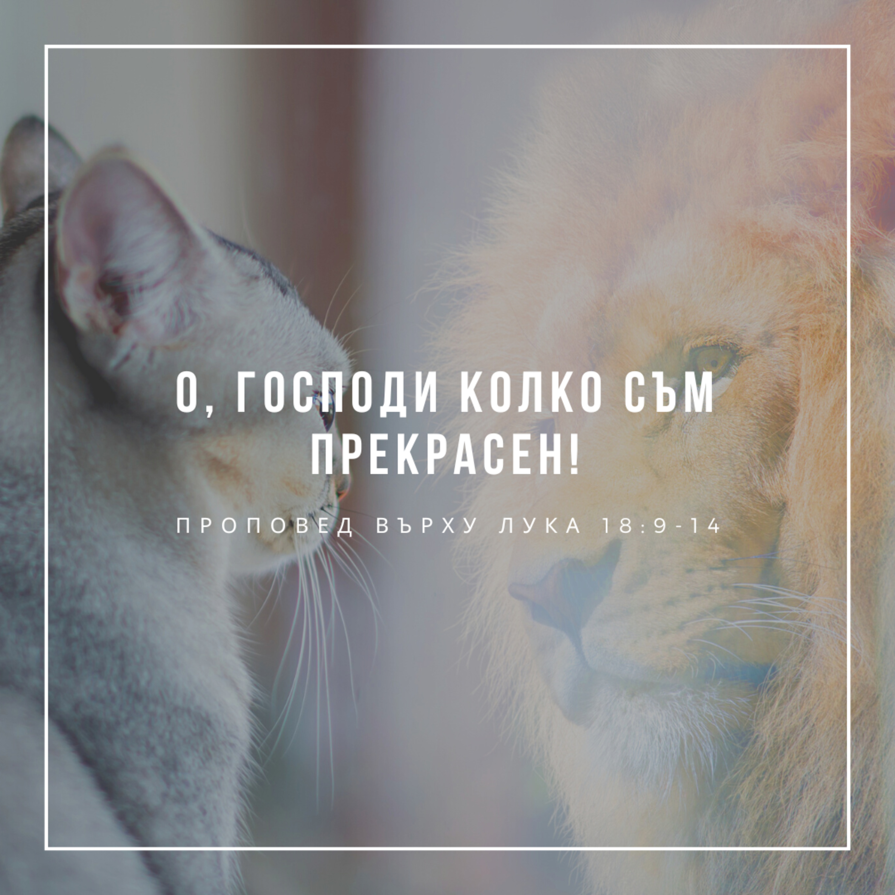 O, Господи колко съм прекрасен! (Лука 18:9-14)  episode artwork