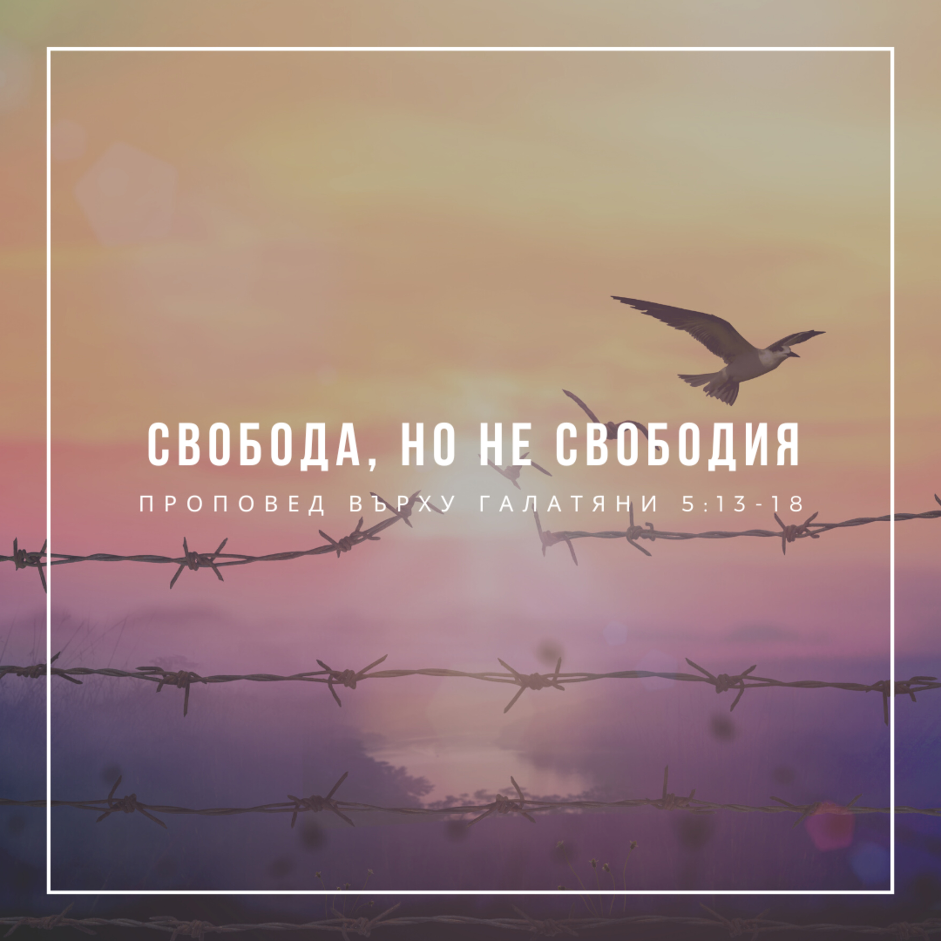 Свобода, но не свободия (Галатяни 5:13-18) episode artwork
