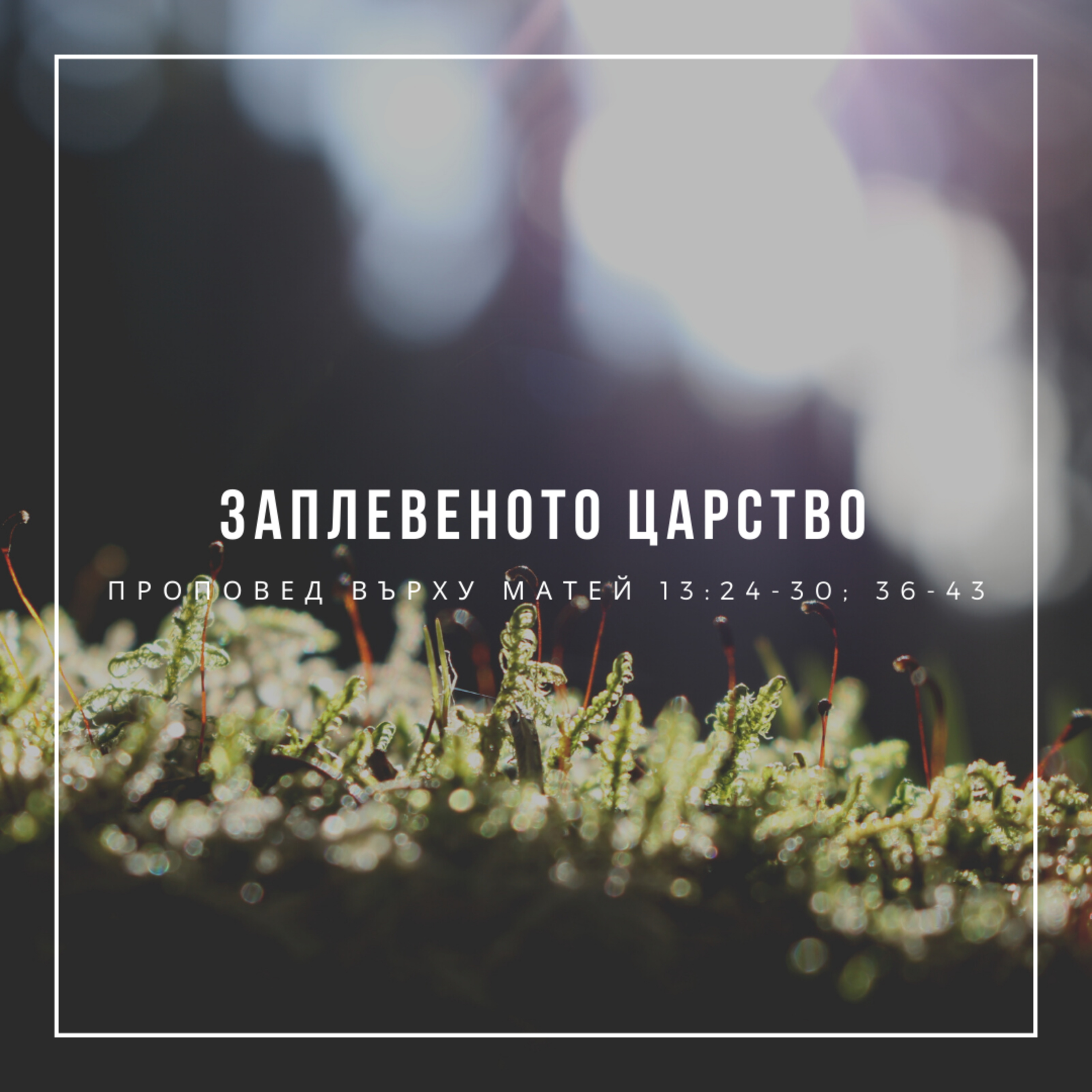 Заплевеното Царство (Матей 13:24-30; 36-43) episode artwork
