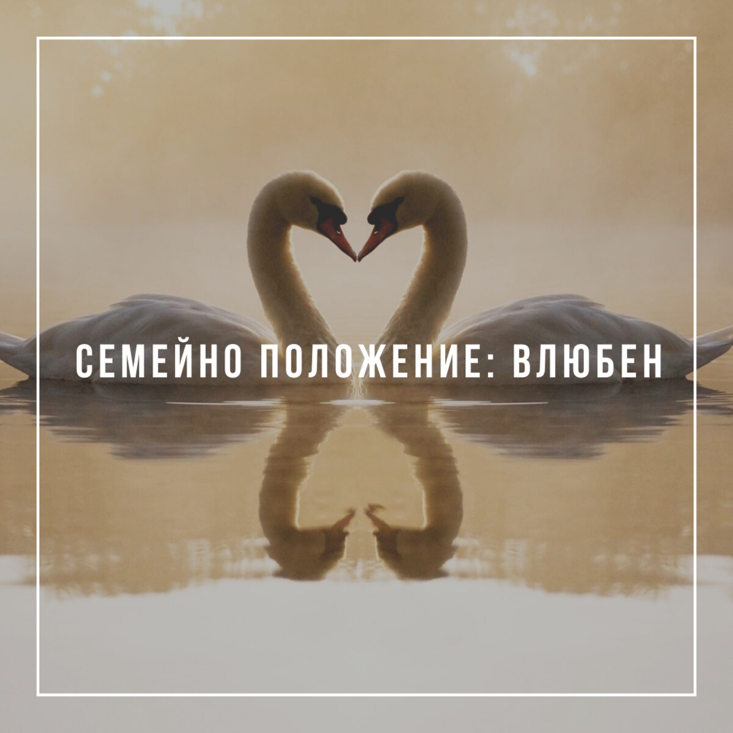 Семейно положение: влюбен - Мира Василева episode artwork