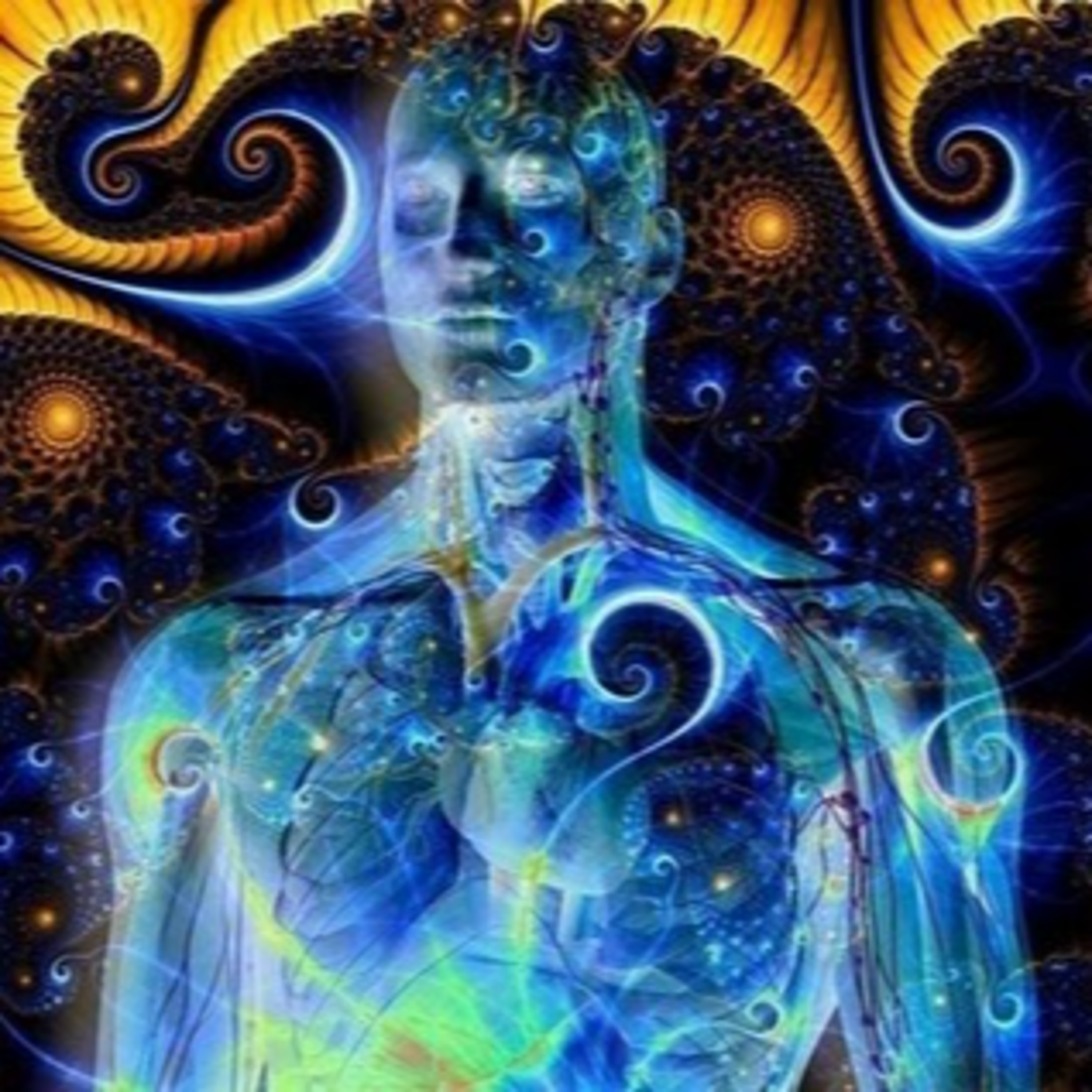 El Humanauta 🕉