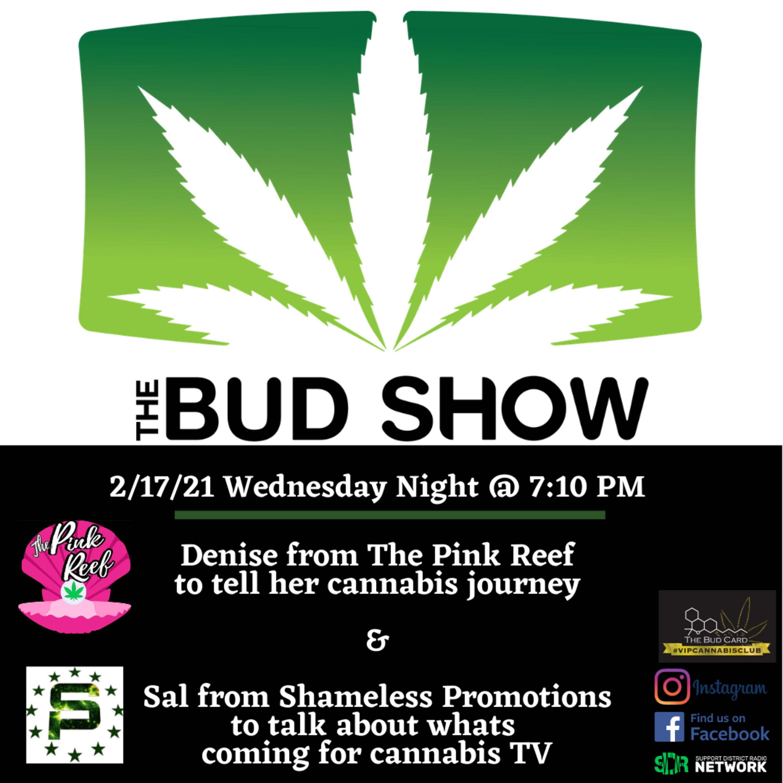 The Bud Show