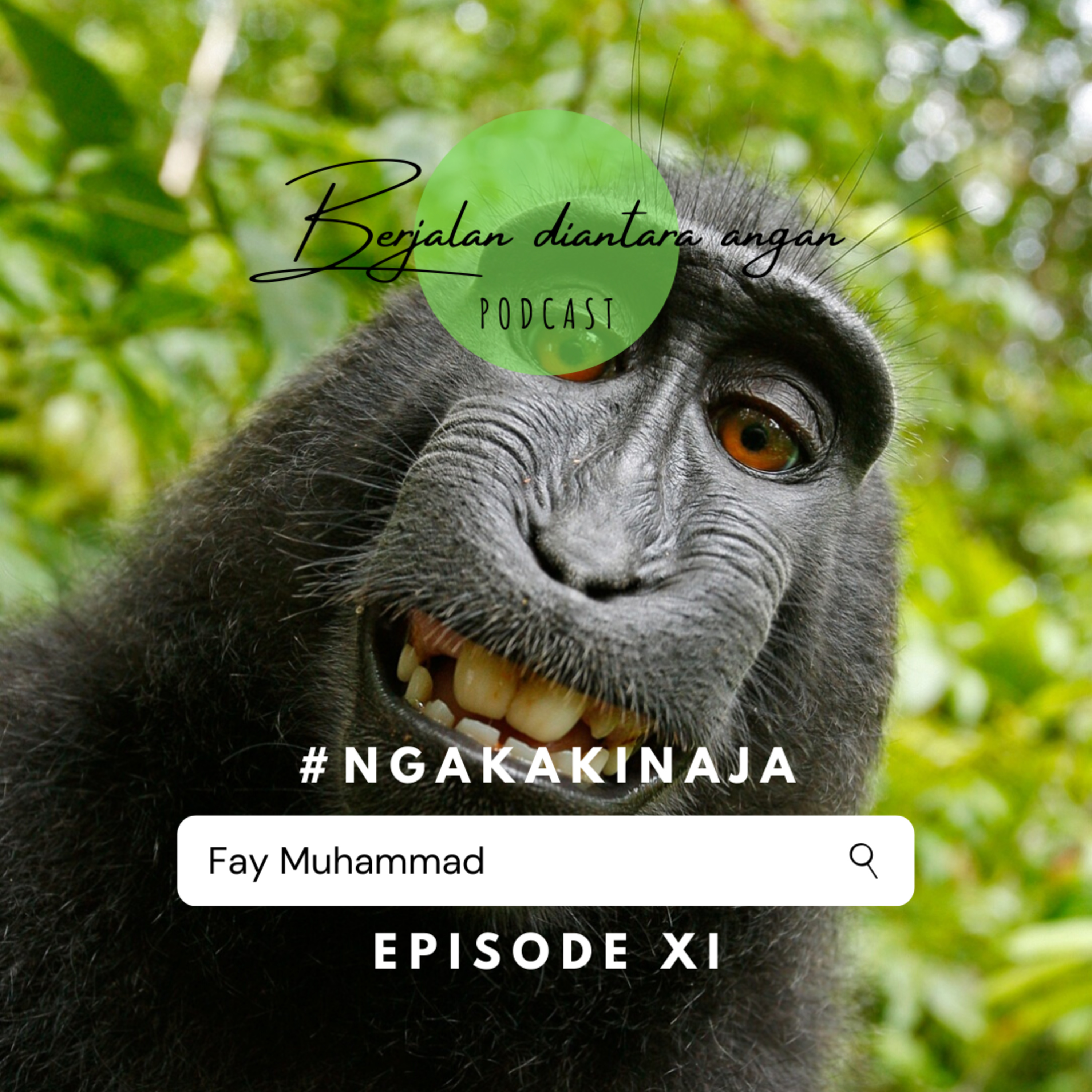 BEDA Podcast