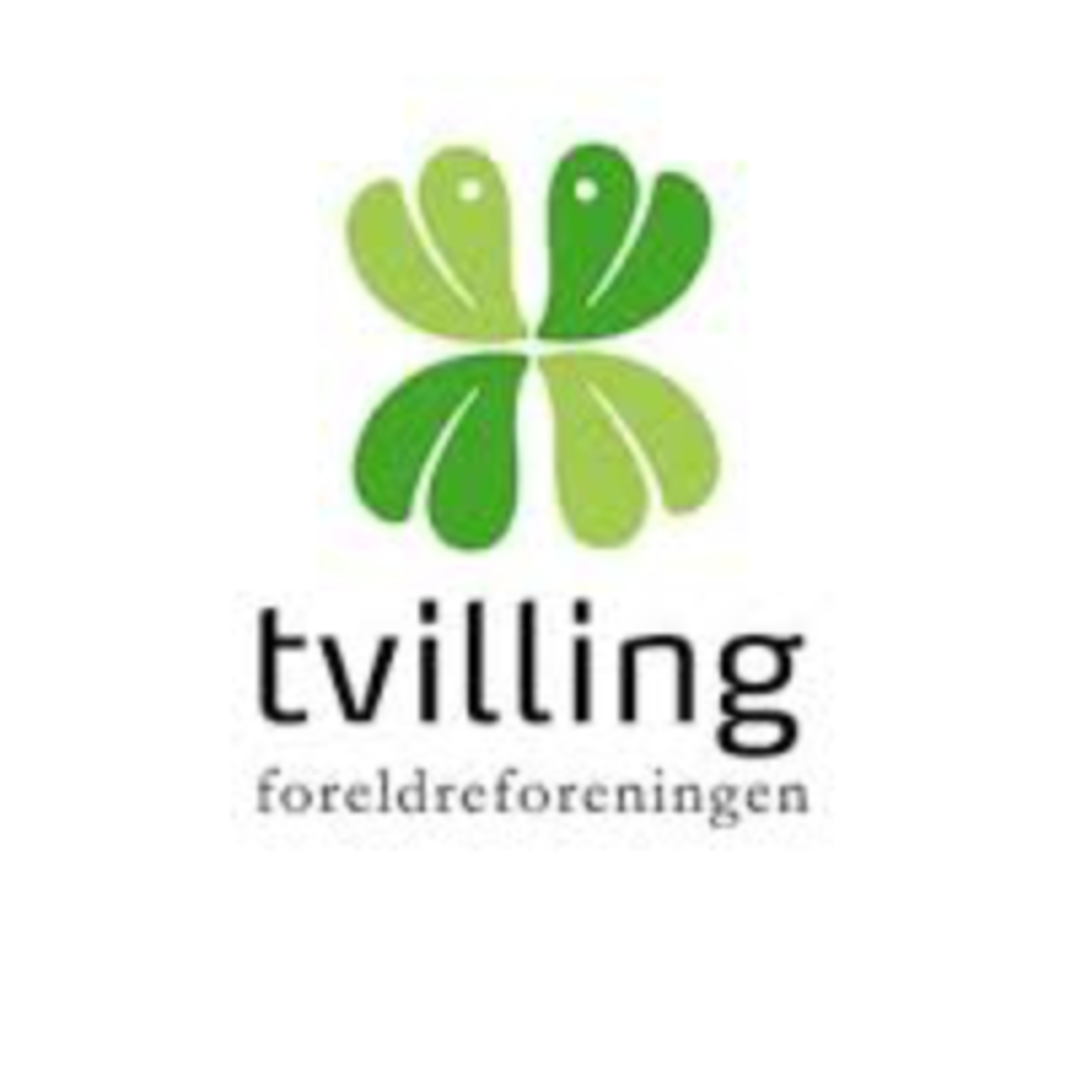 Tvillingrådet