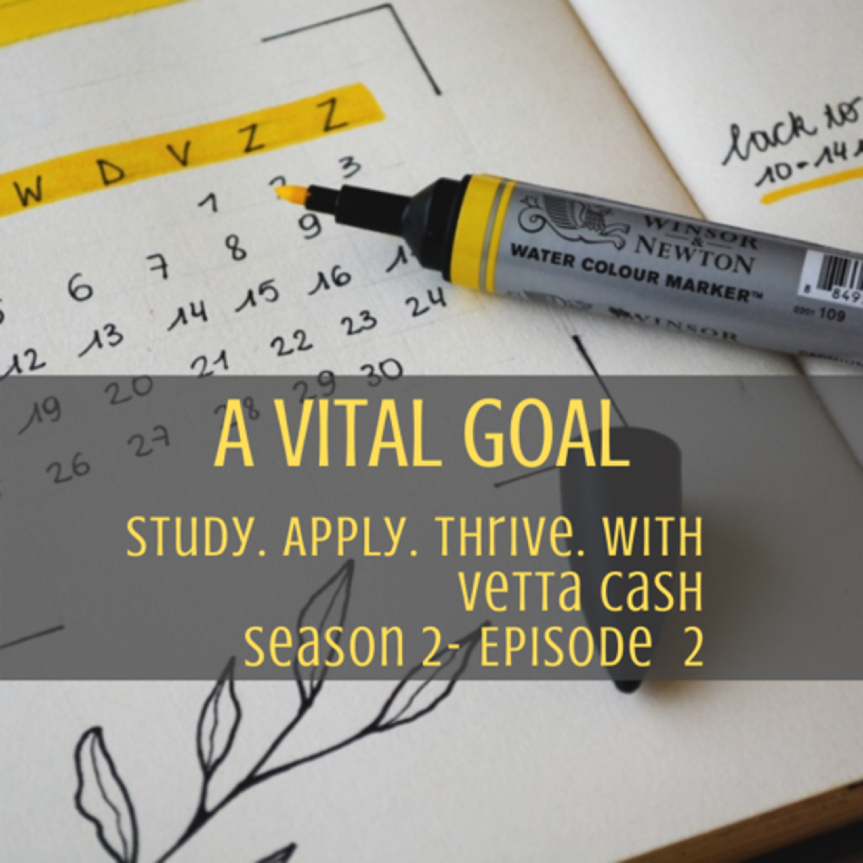 A Vital Goal episode artwork