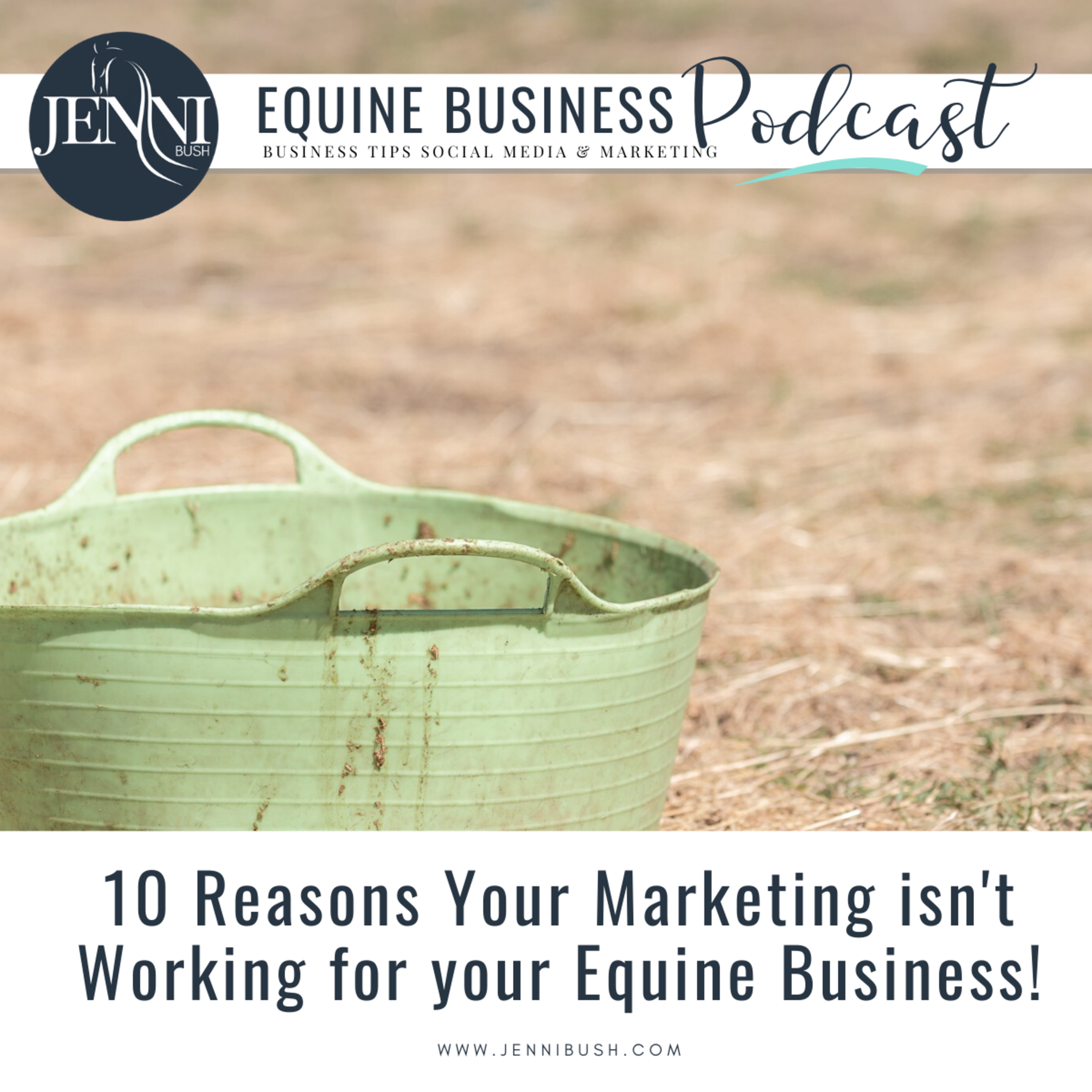 #1: 10 Reasons Why Your Marketing May Not Be Working in your Horse Business  episode artwork