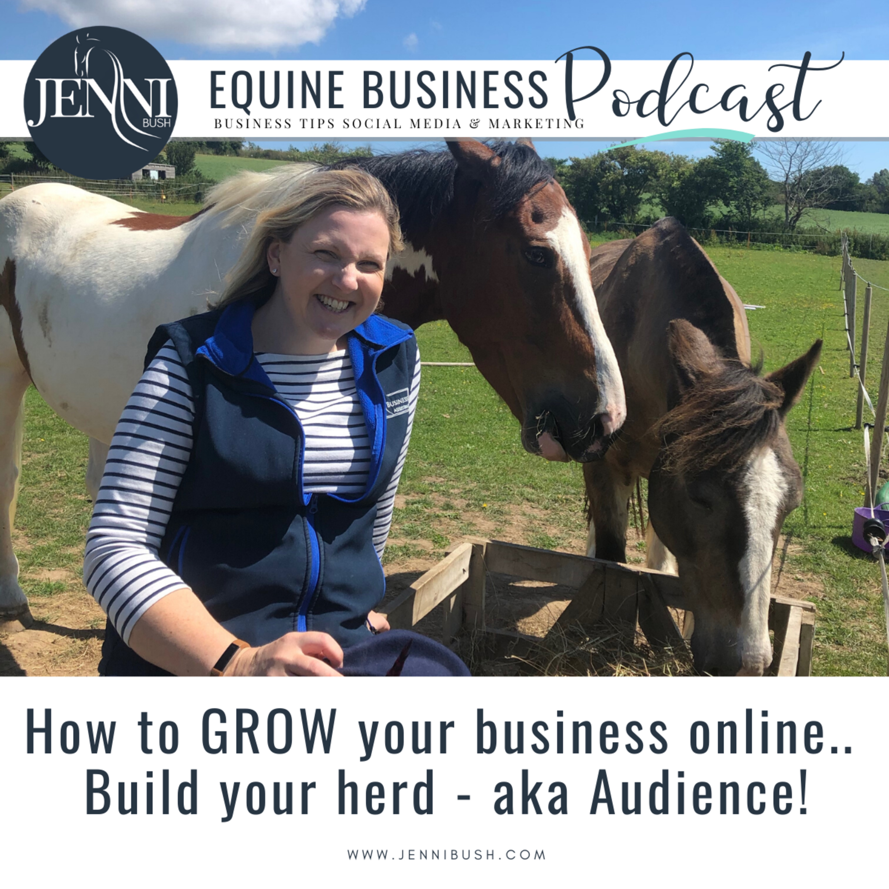 #30: How to build your equestrian business online - grow your herd (aka audience) episode artwork