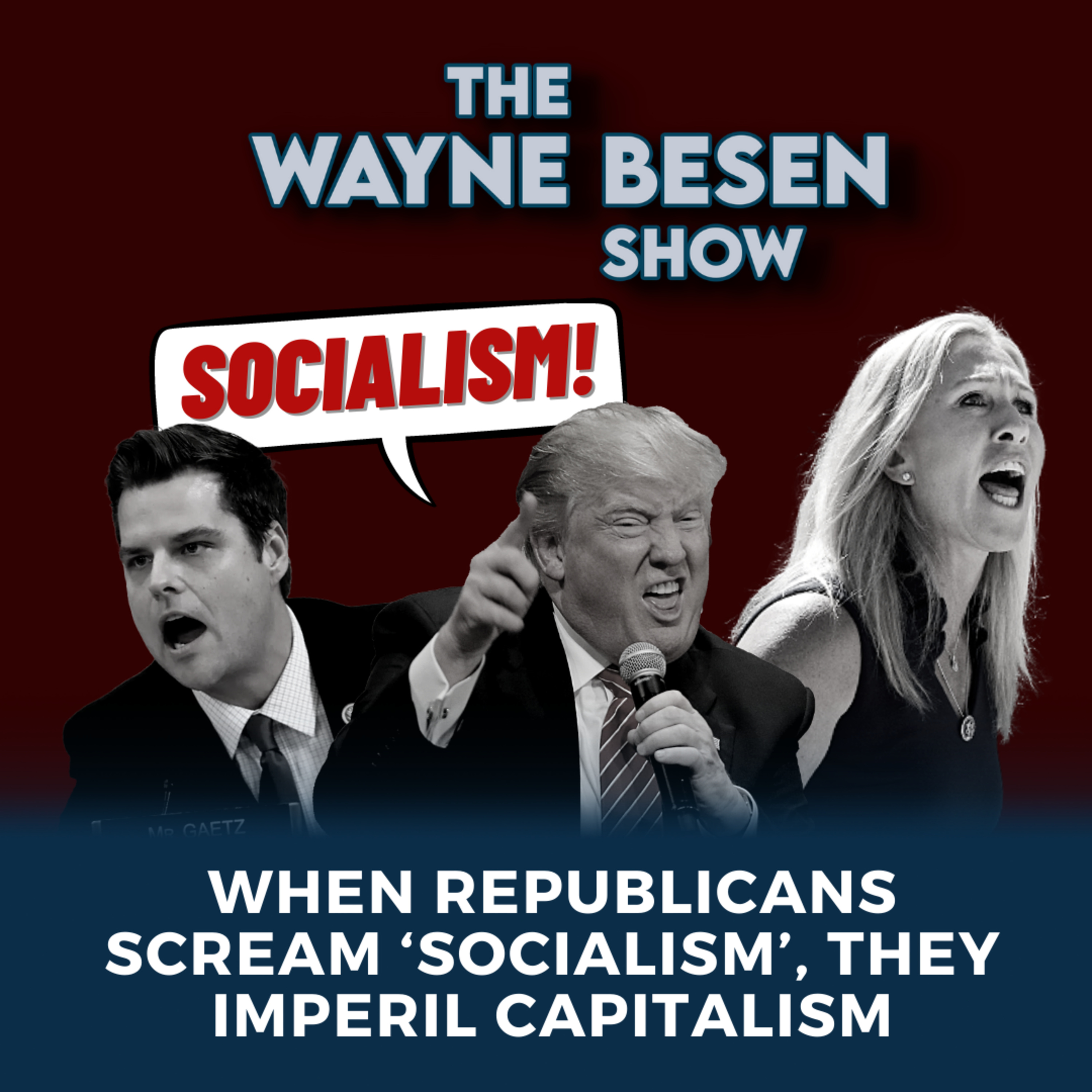The Wayne Besen Show