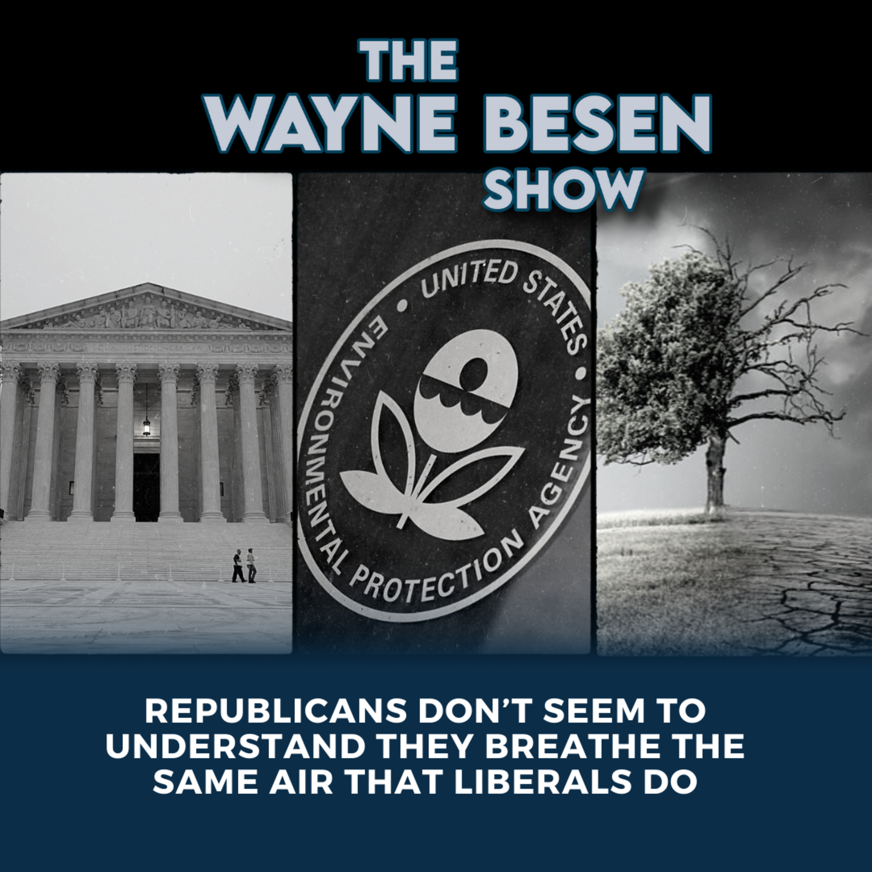 The Wayne Besen Show