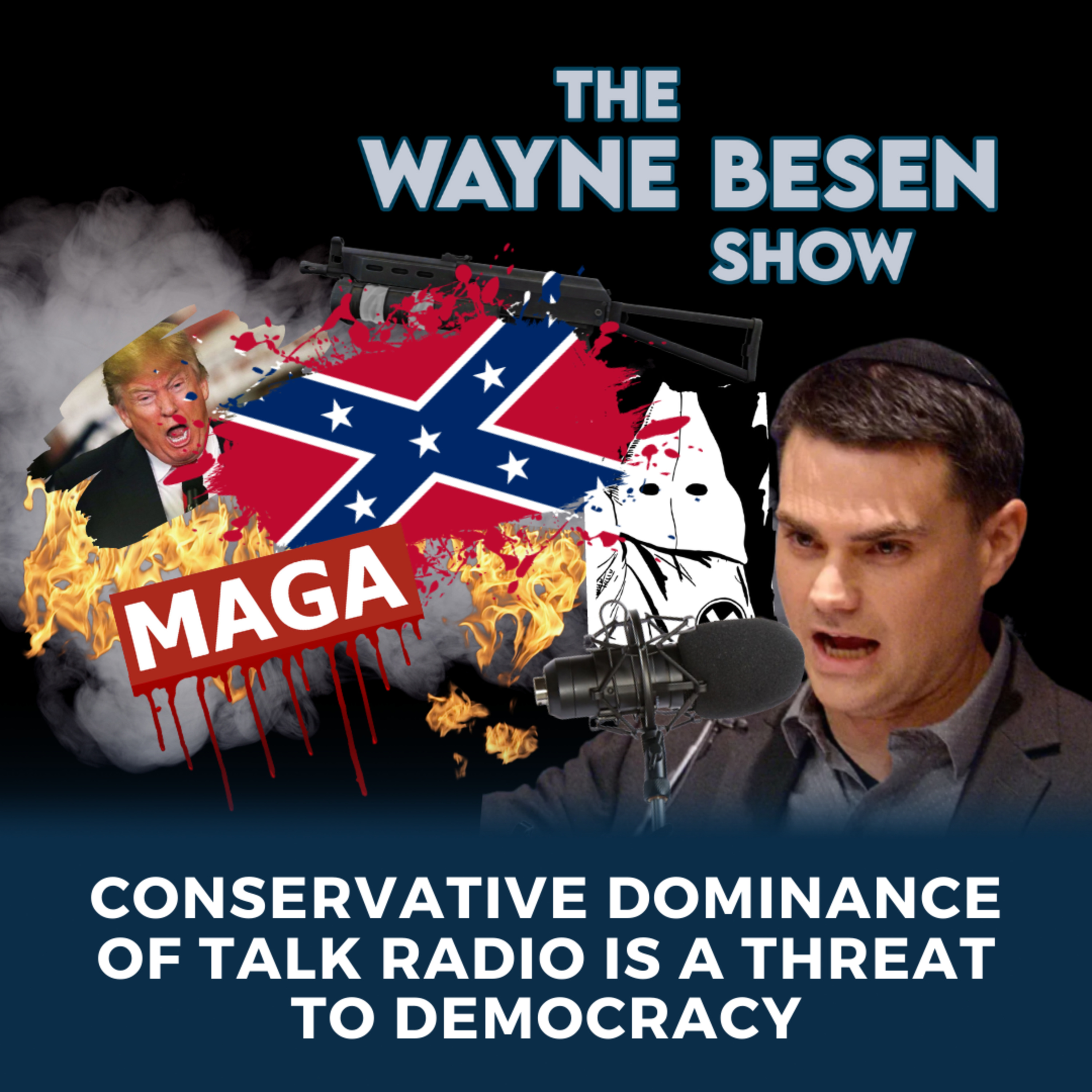 The Wayne Besen Show