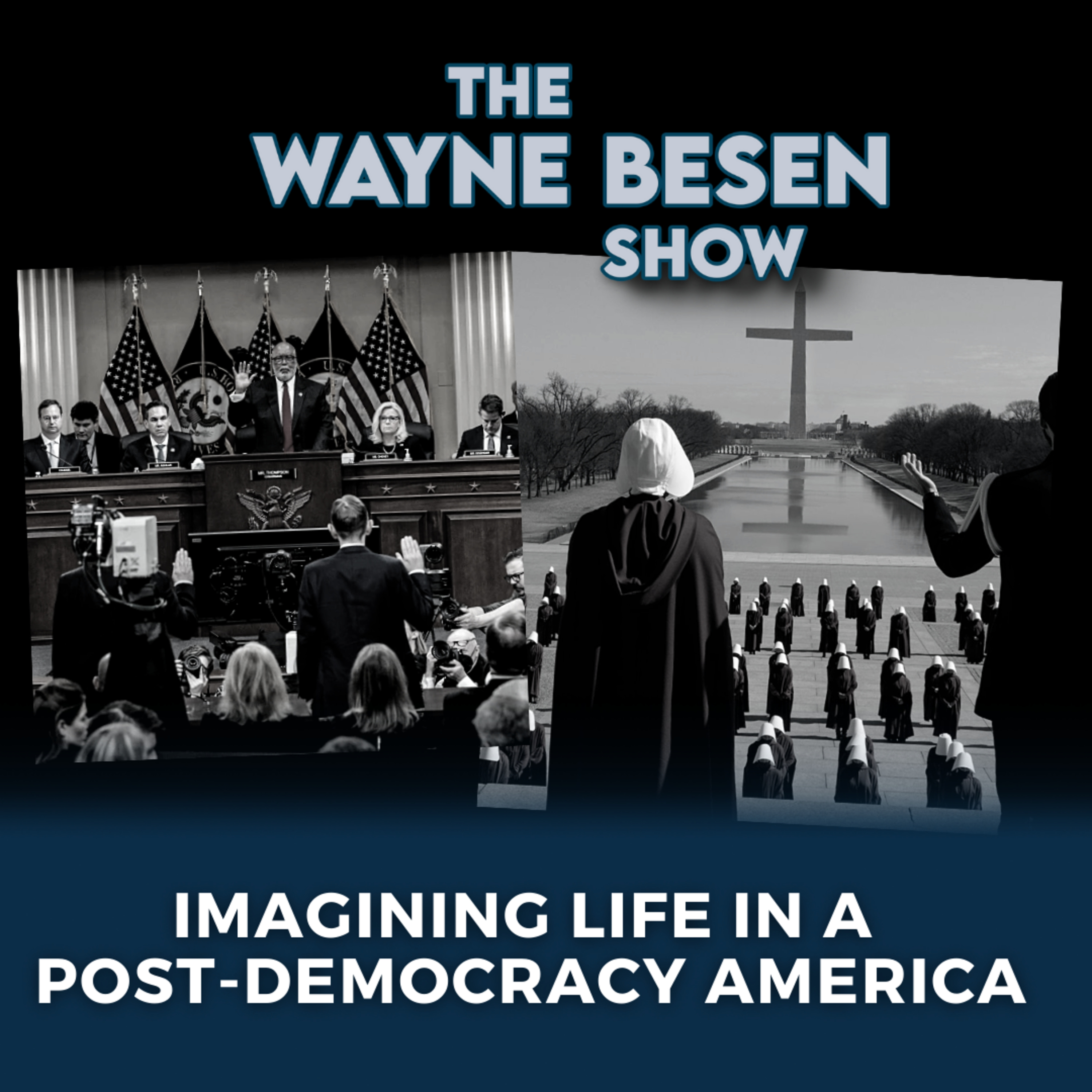 The Wayne Besen Show