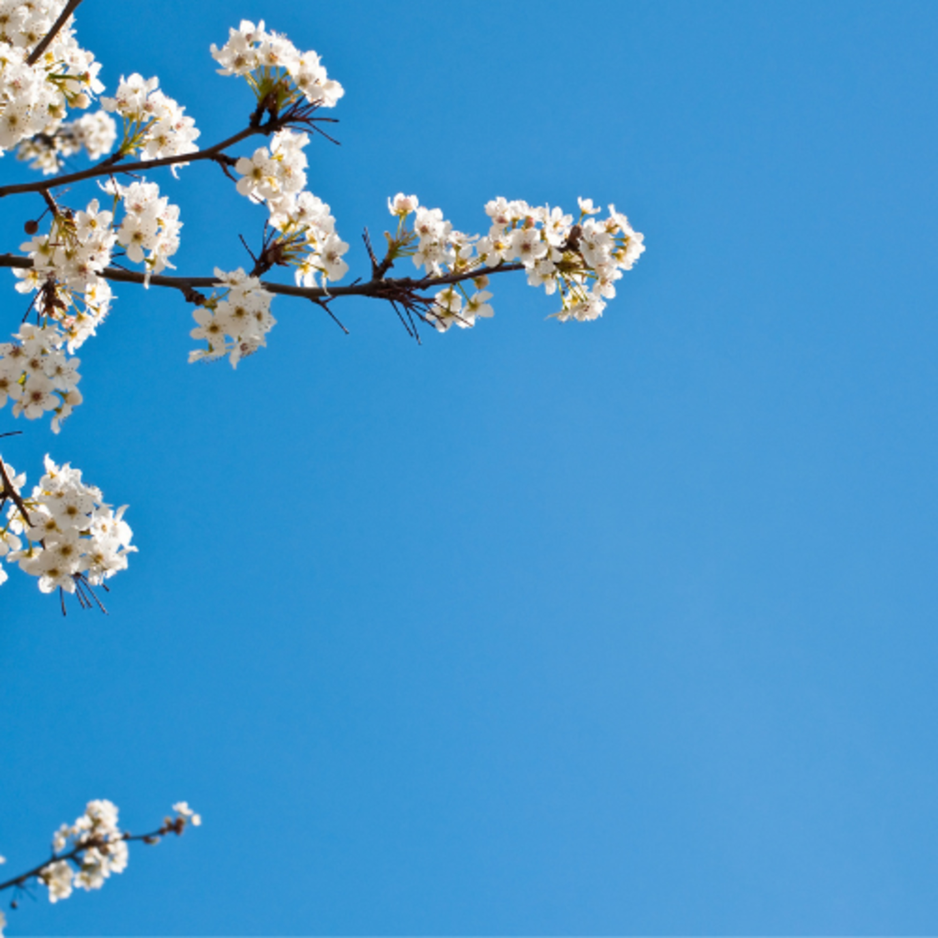 Episode 58: SUNDAY SERMON - Celebrating the Impact of Easter - Jeff McGee