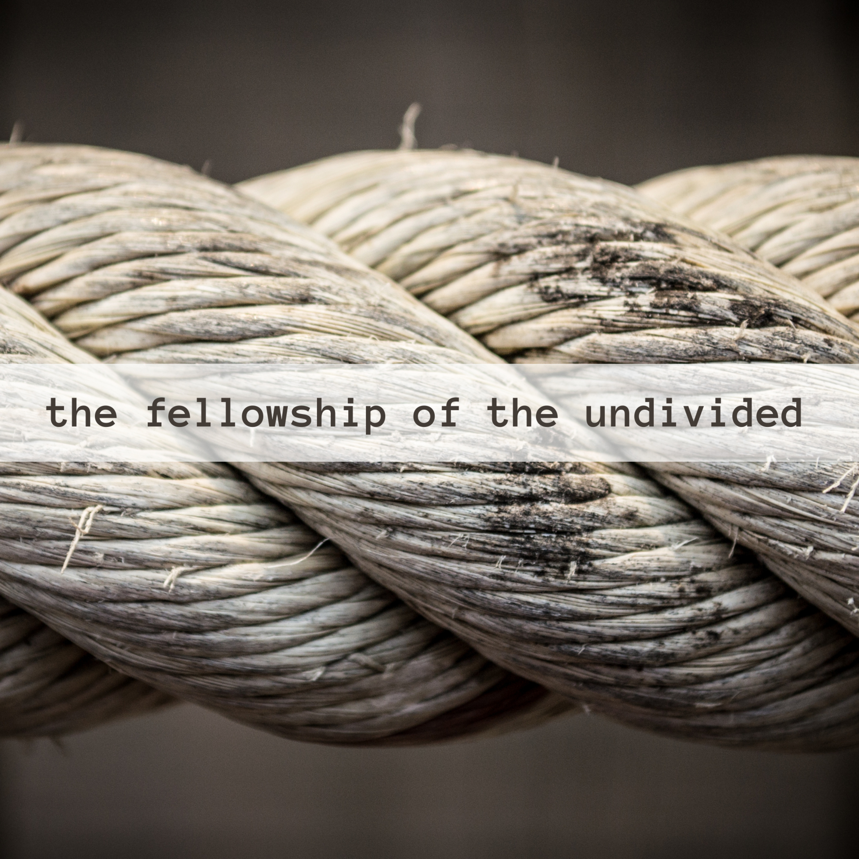 Episode 75: SUNDAY SERMON - The Fellowship of the Undivided - Joshua Rushing  episode artwork