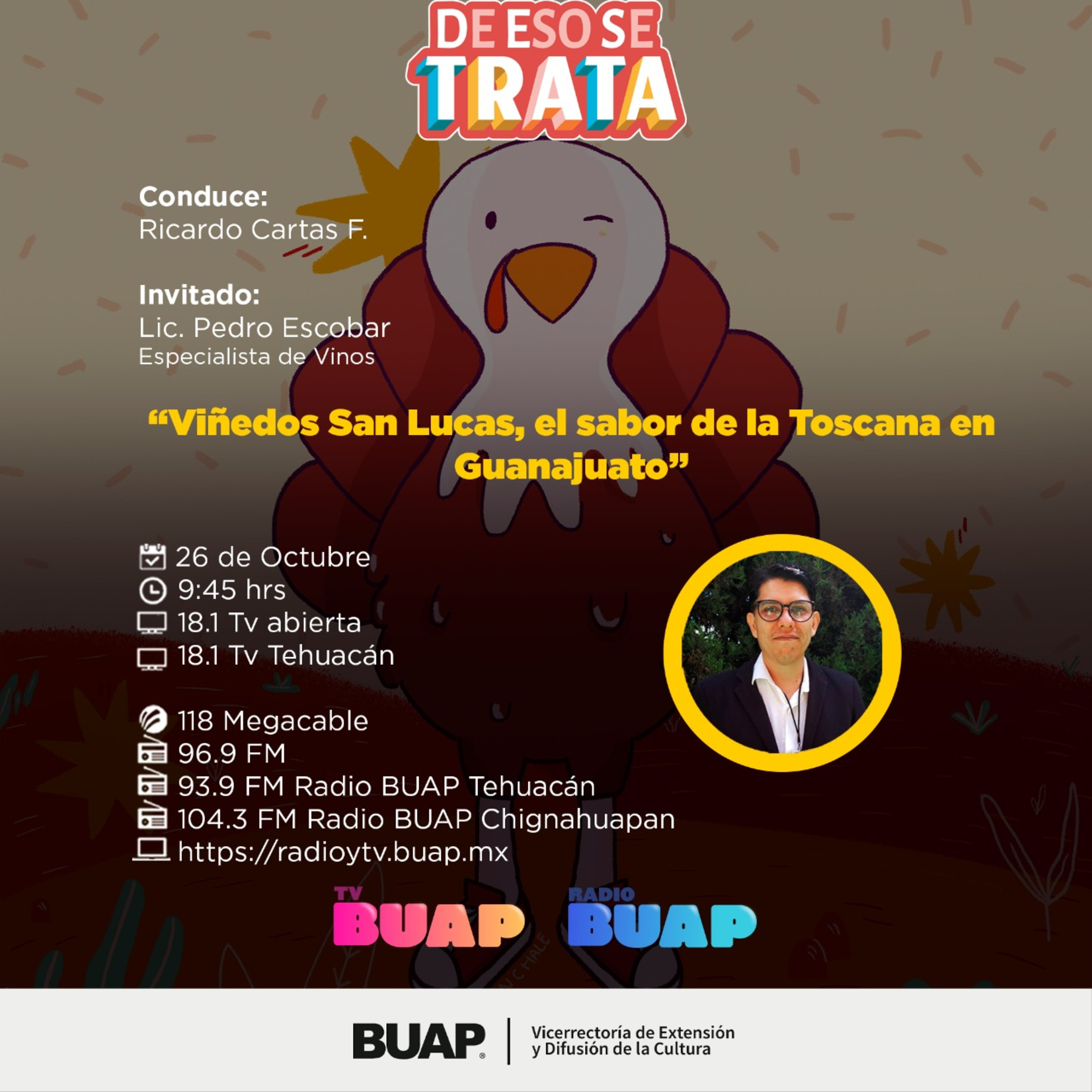 Ep. Adquiere tu propio viñedo. De eso se trata. episode artwork