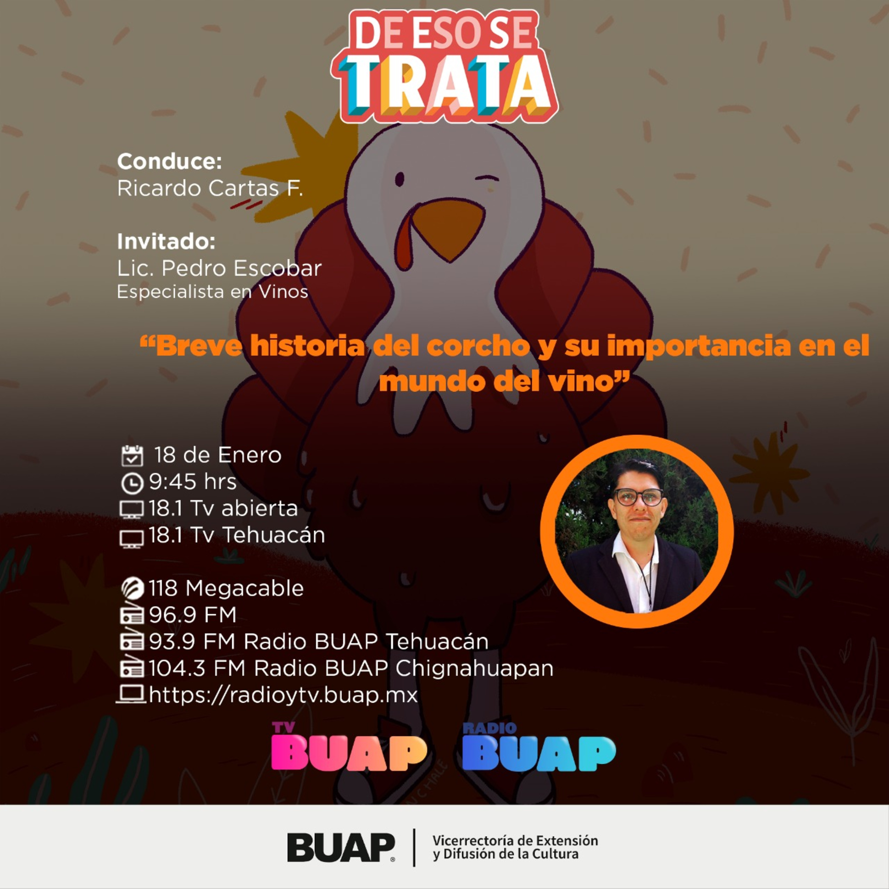 Ep. Historia del corcho. De eso se trata. episode artwork