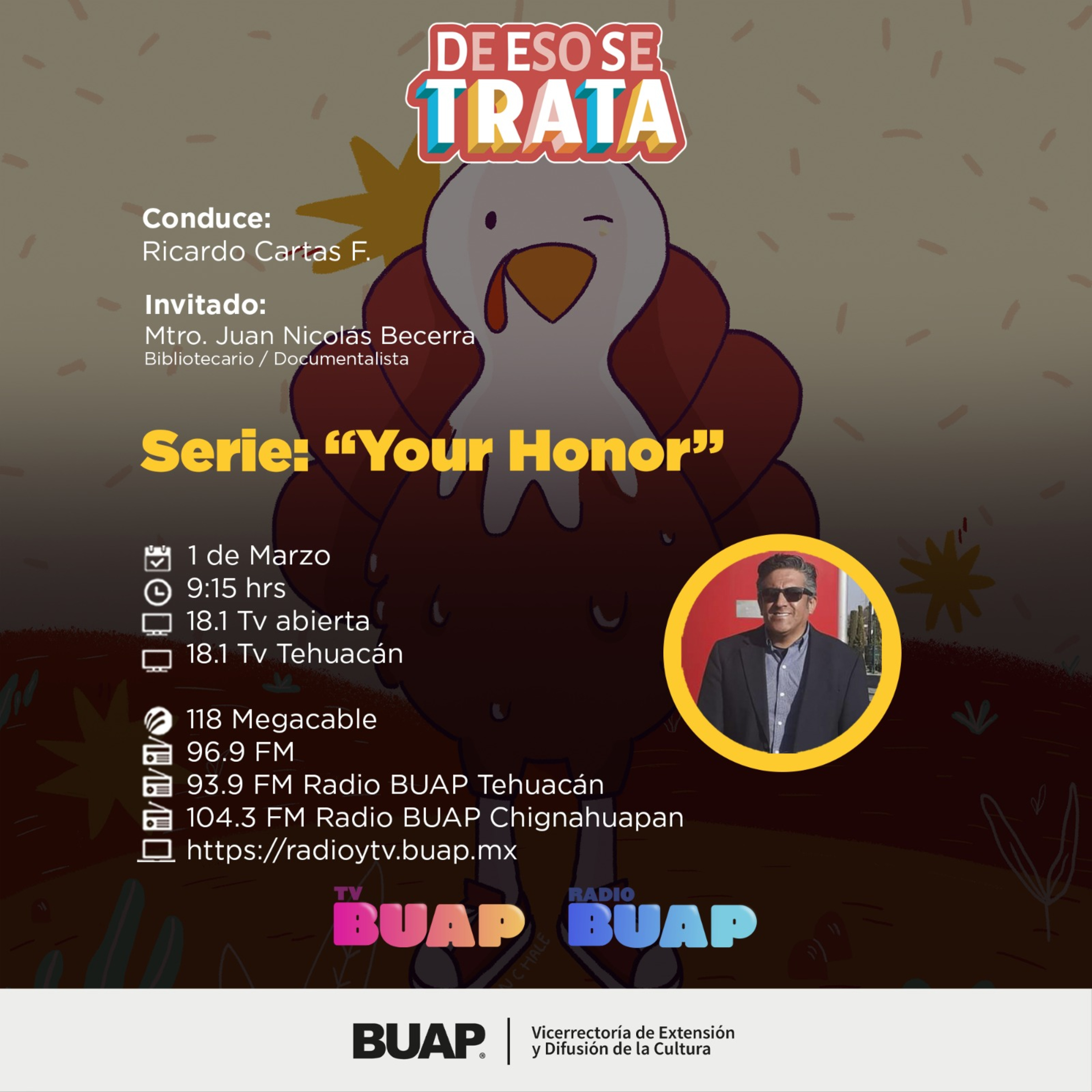 Ep. Serie: Your honor. De eso se trata. episode artwork