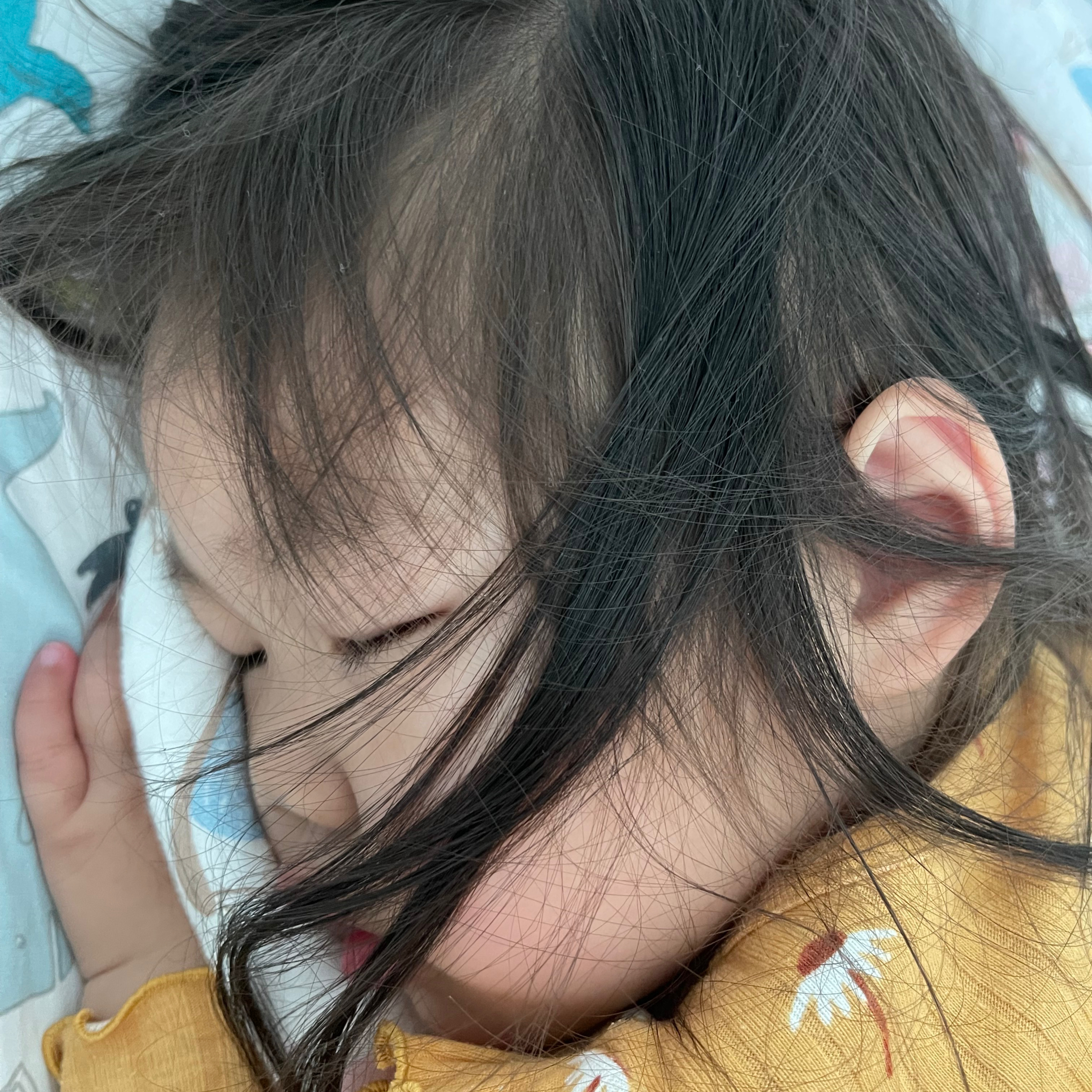 雙碼農育兒記