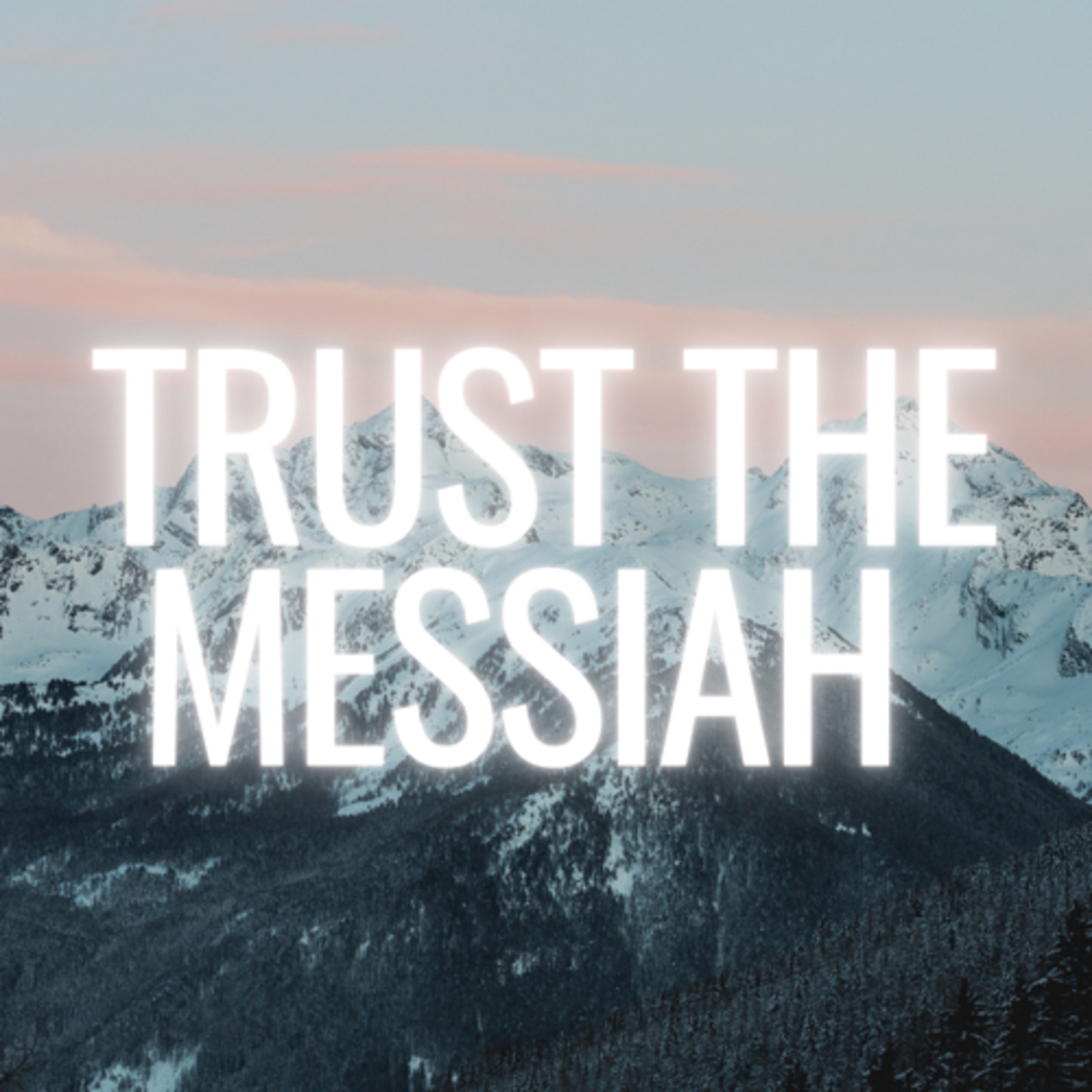 Matthew 8:1-22 Trust the Messiah episode artwork