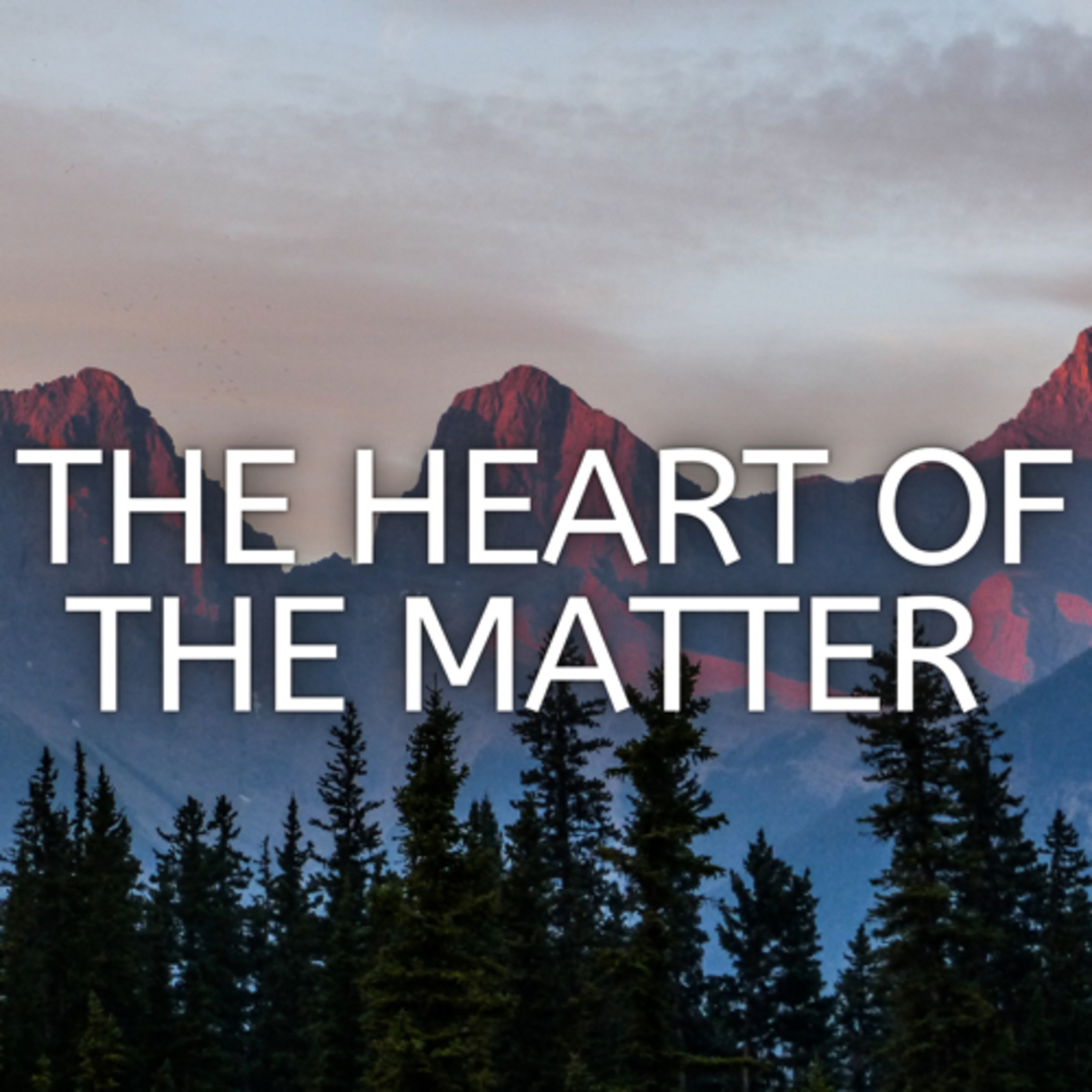Matthew 11:1-19 The Heart of the Matter episode artwork