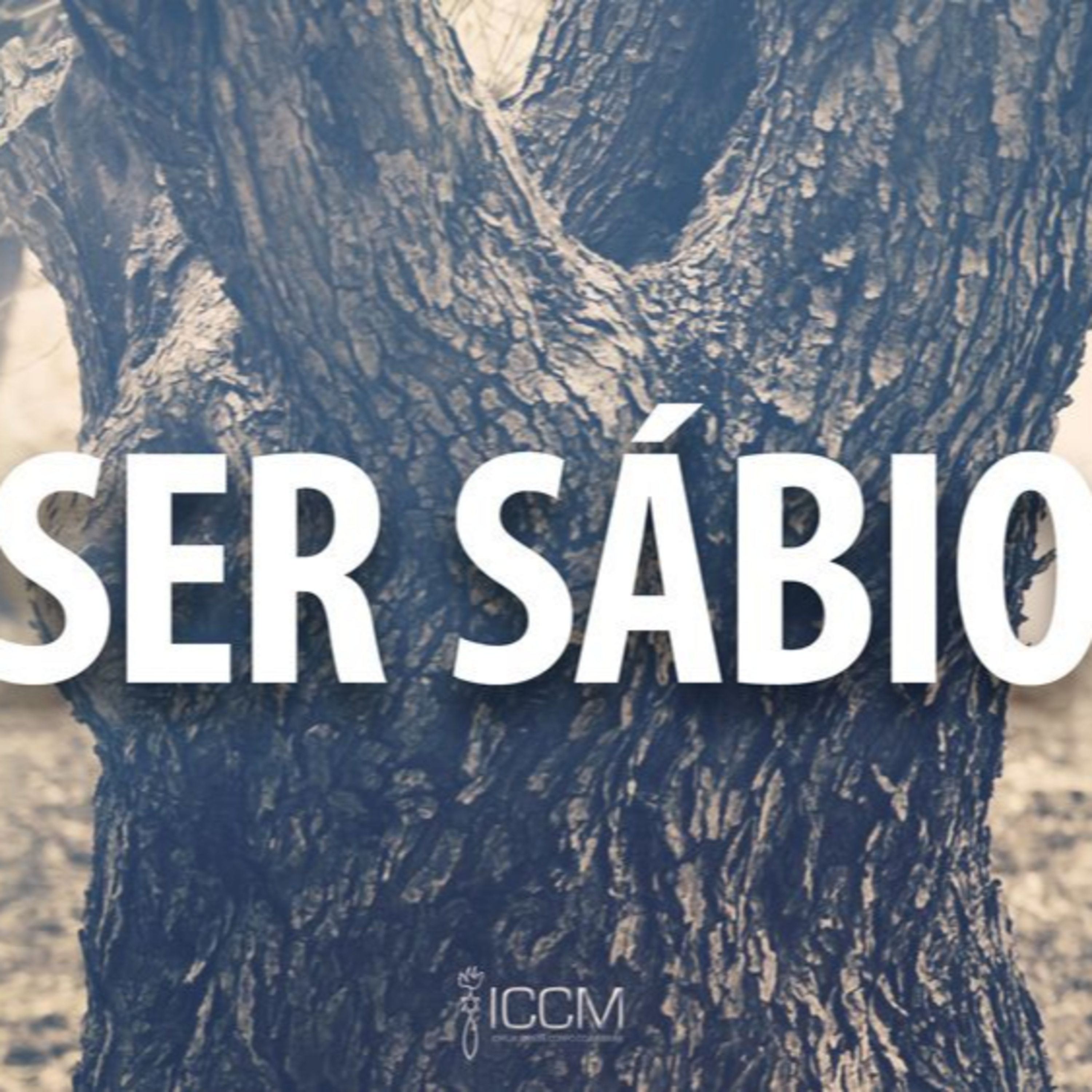 Palavra de Salvação I Moisés Schifino