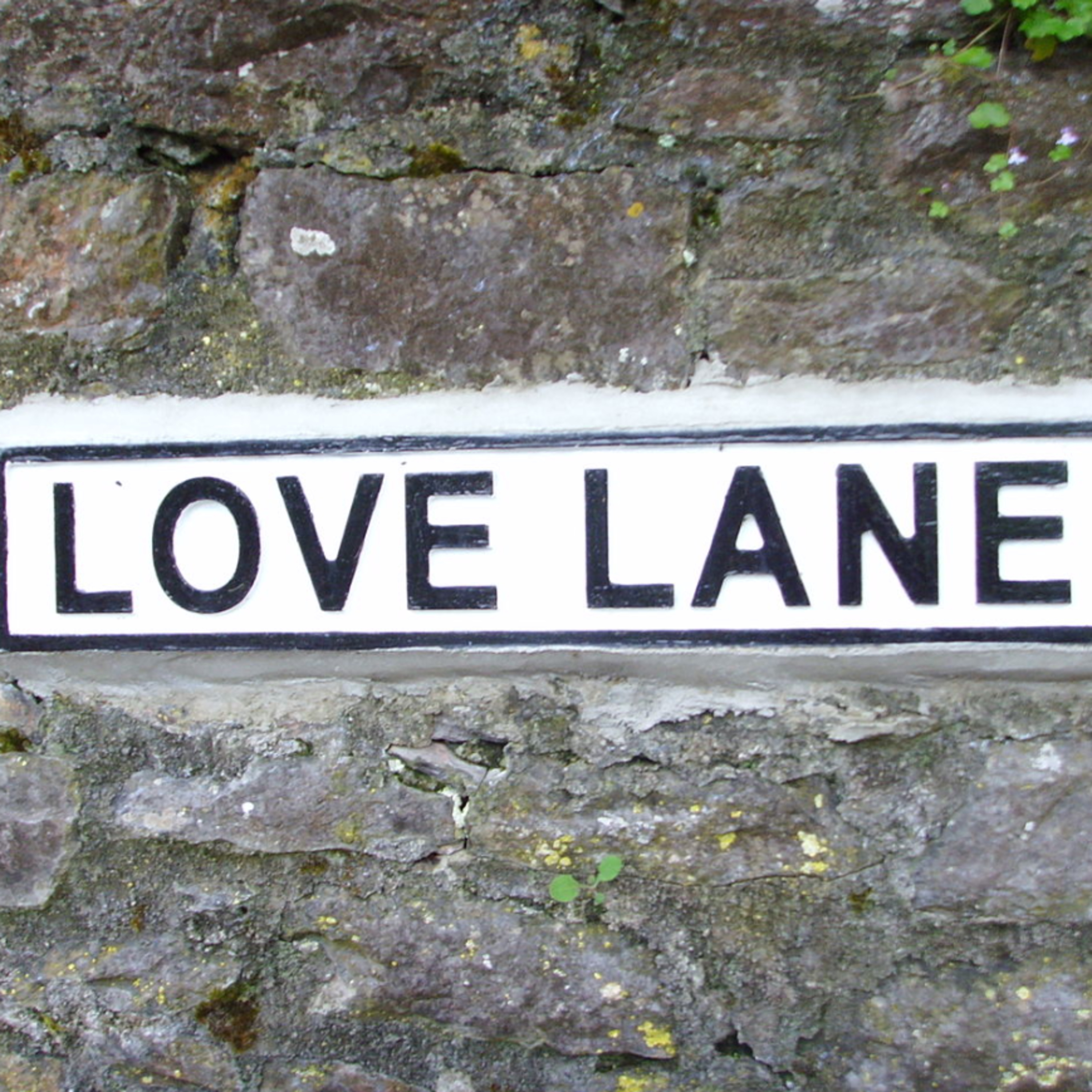 The Lovers Lane Murders. Who Dun It