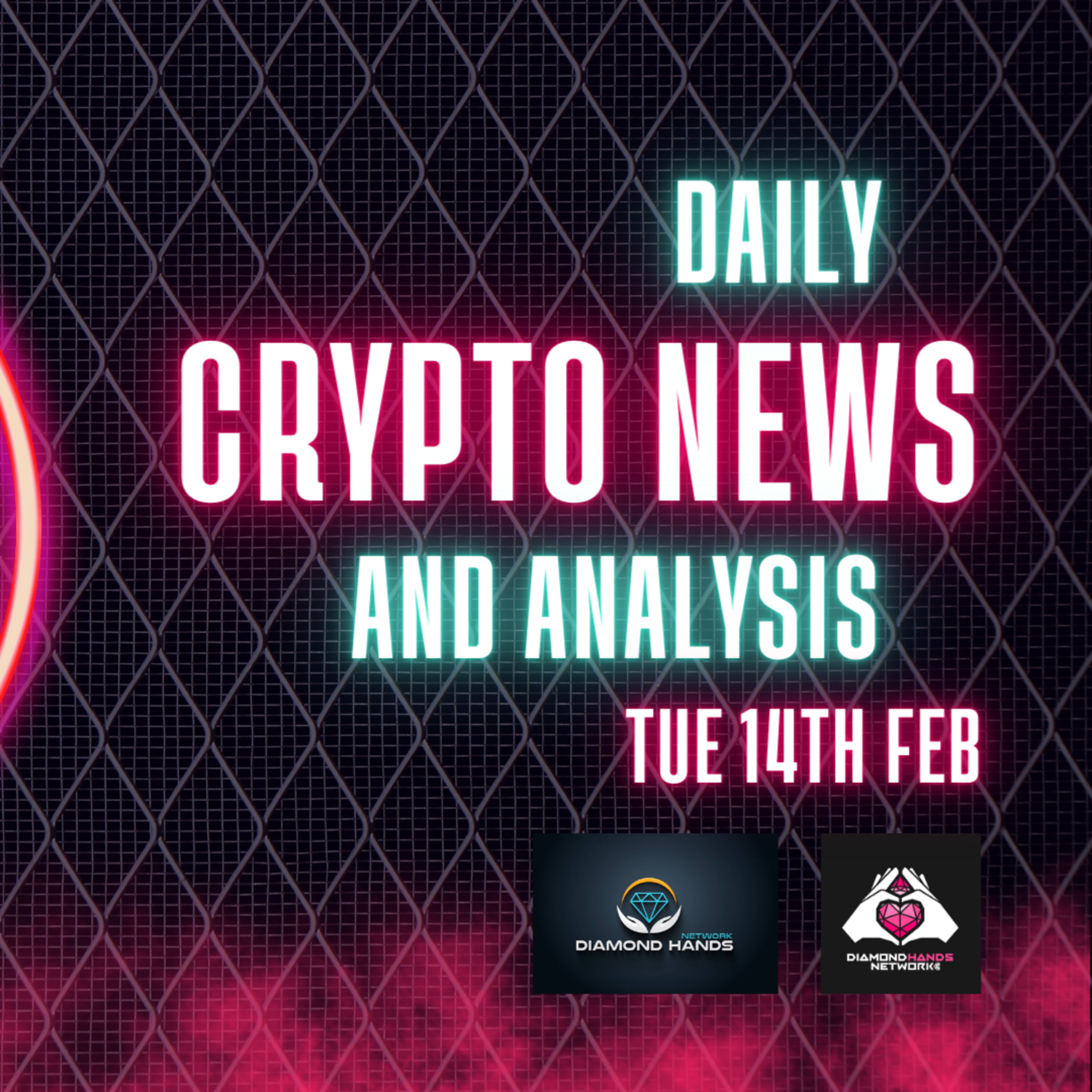 The Crypto Duck Life