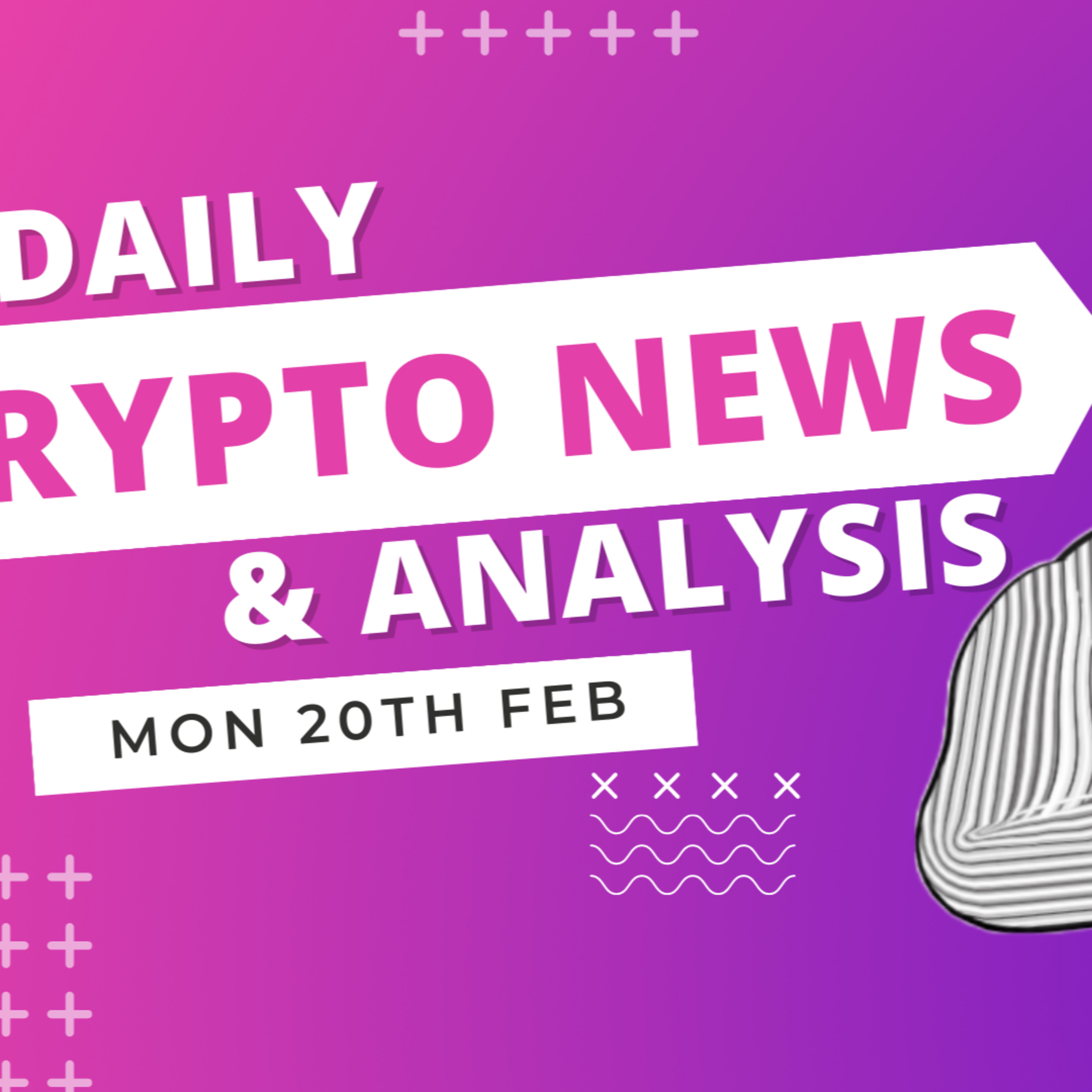The Crypto Duck Life