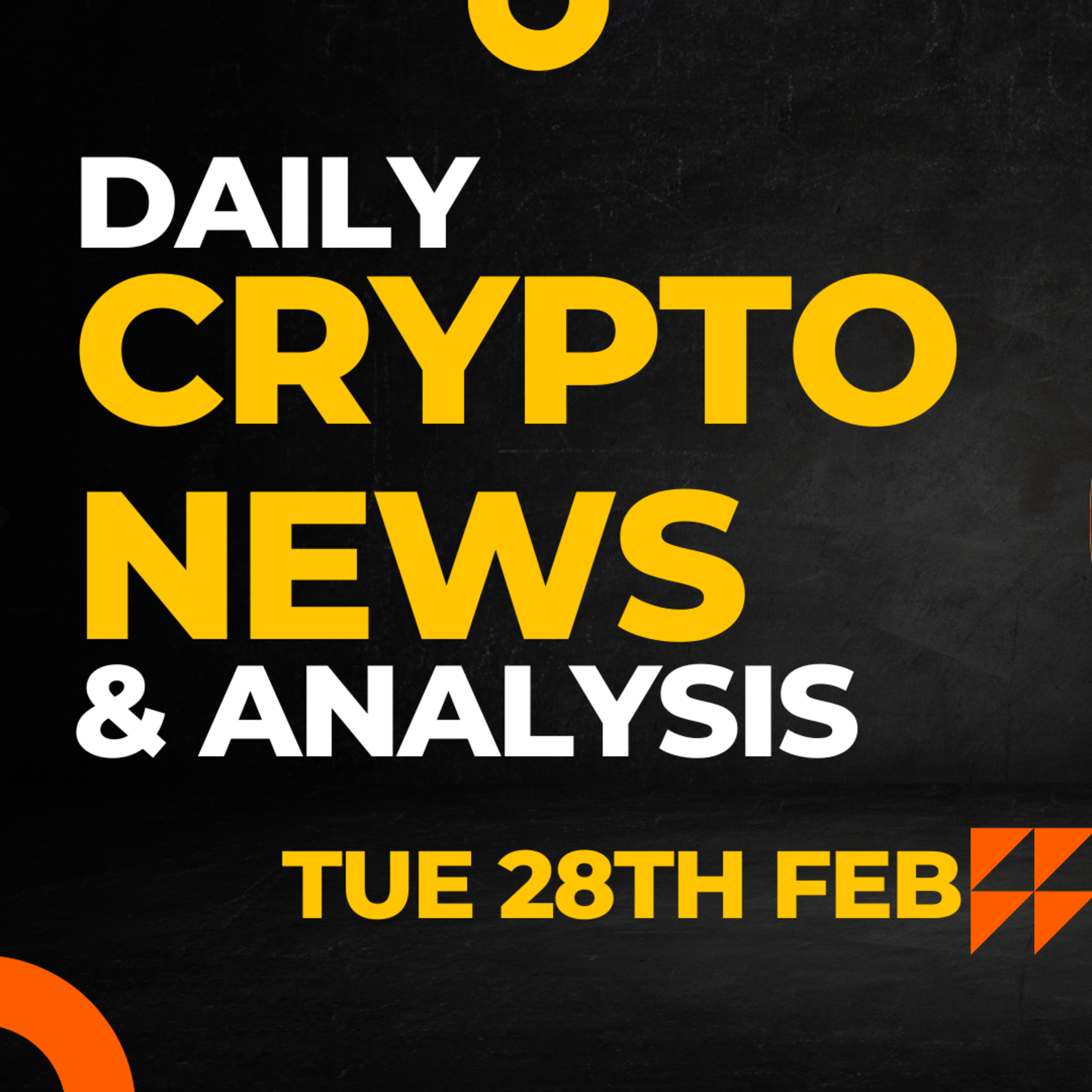 The Crypto Duck Life