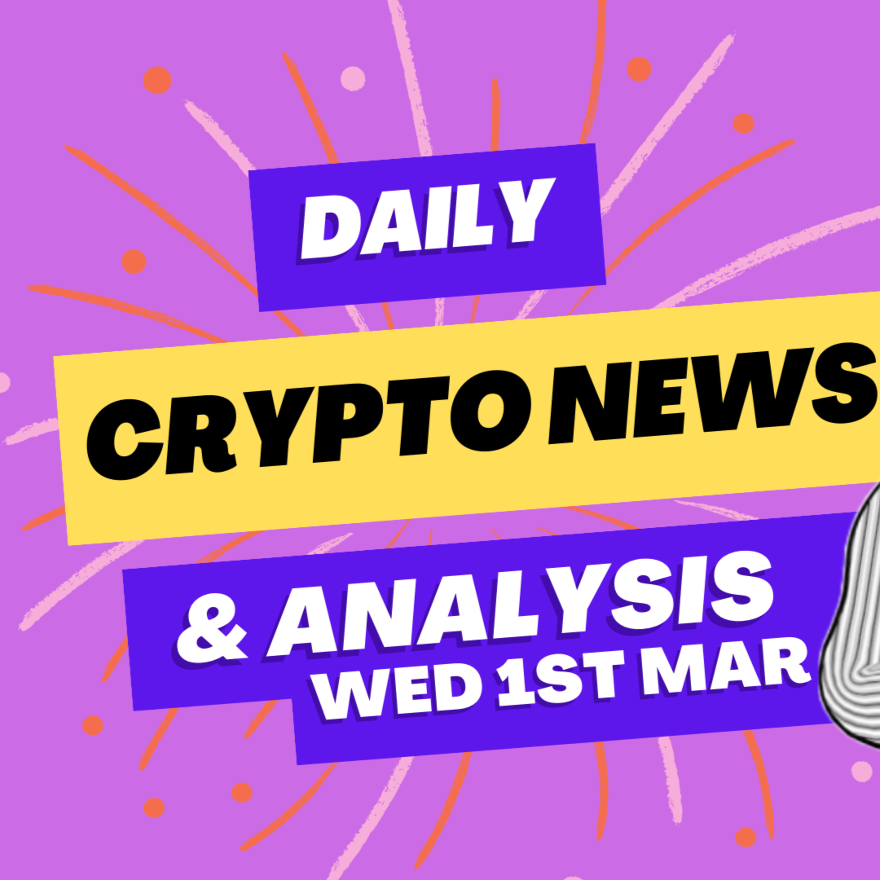 The Crypto Duck Life