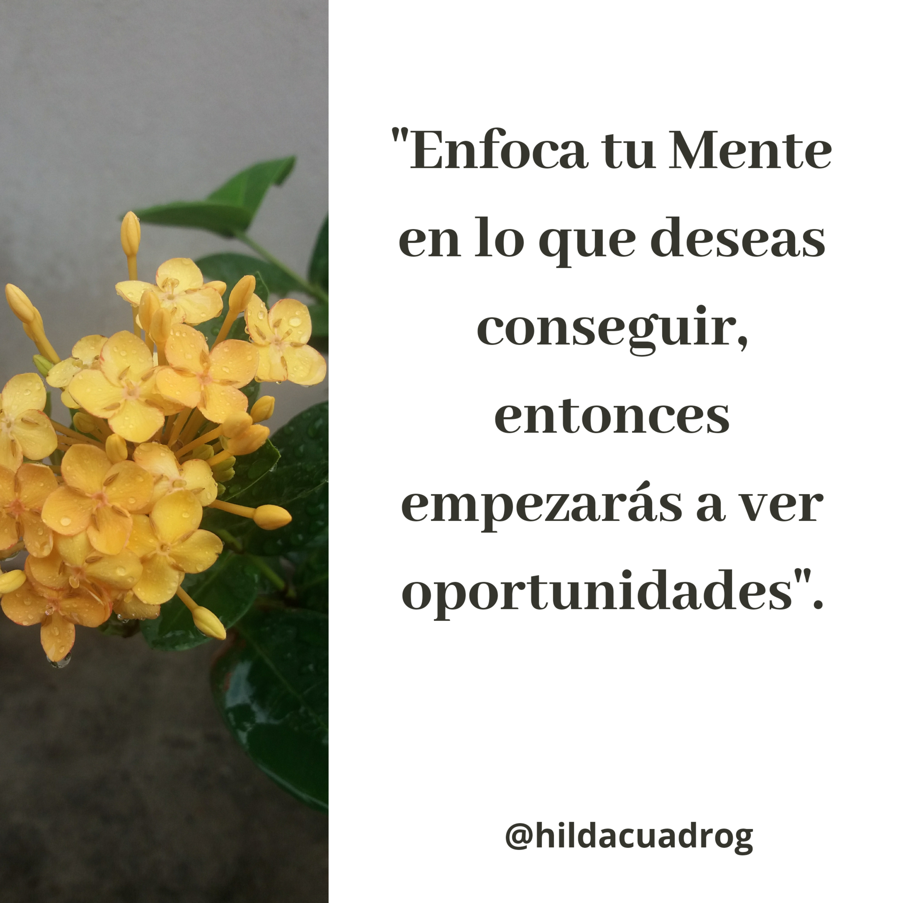Hilda Cuadro - Cabina De Las Ideas