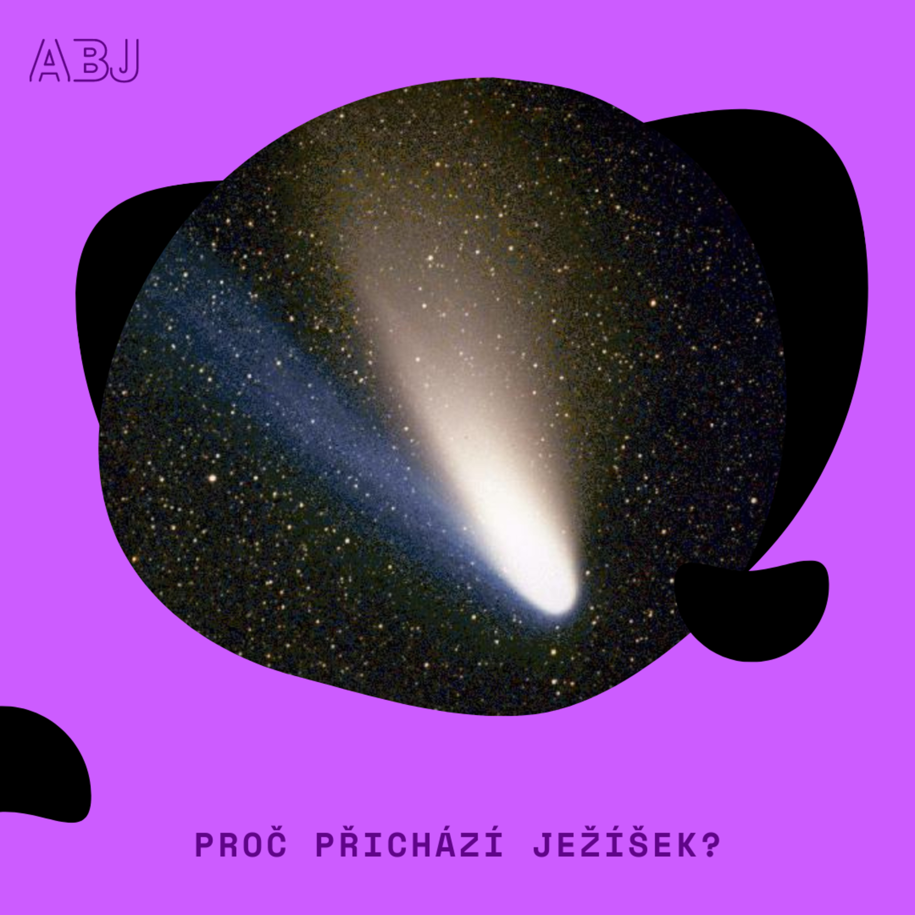 Aby bylo jasno - rozhovory