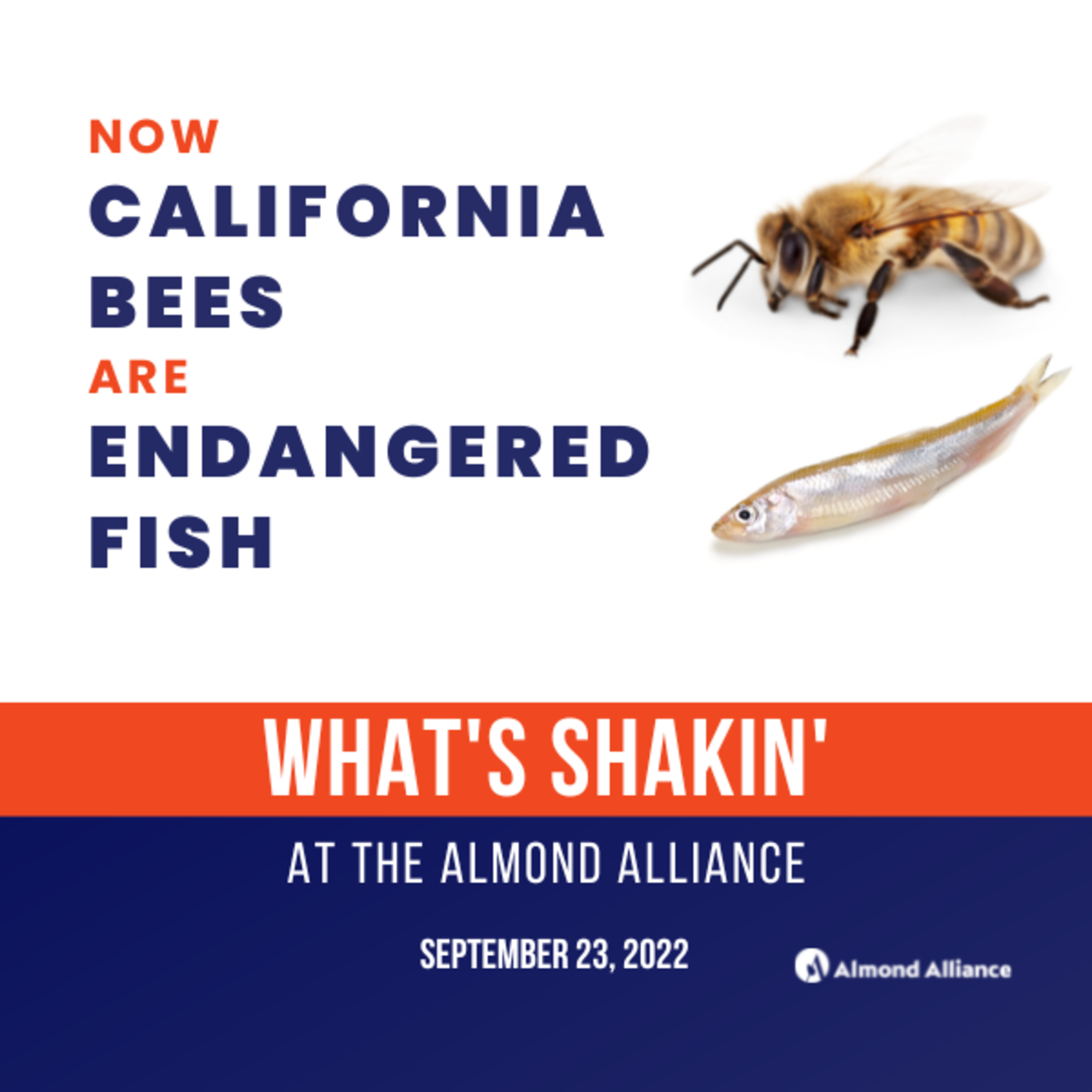 Almond Alert