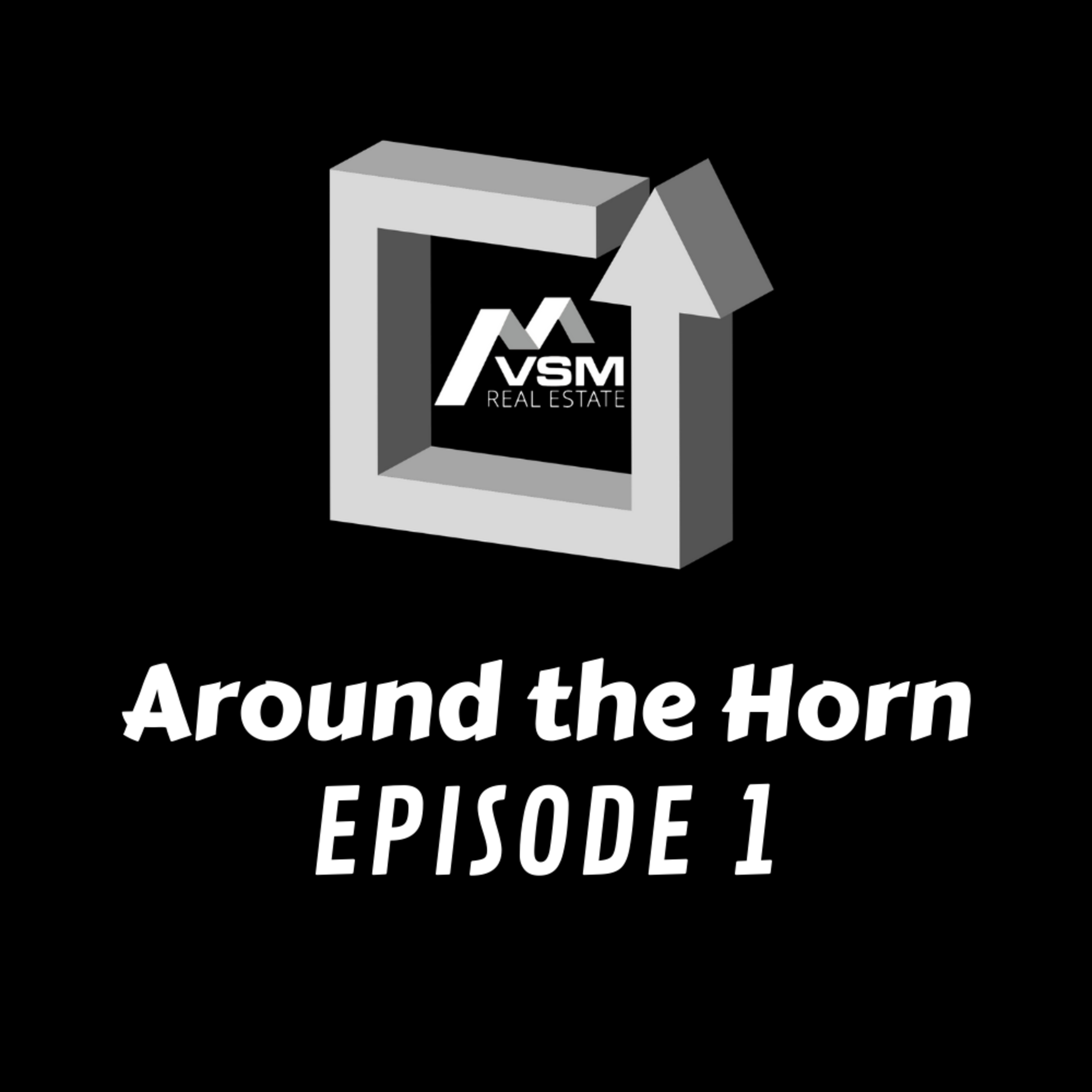 VSM Real Estate Podcast
