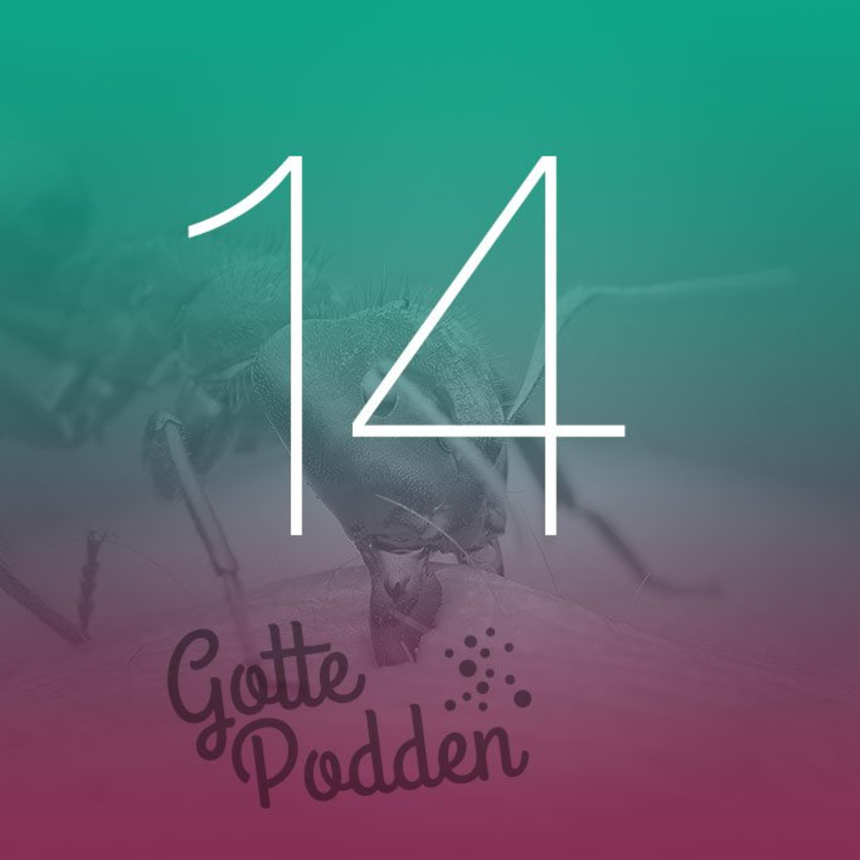 Gottepodden