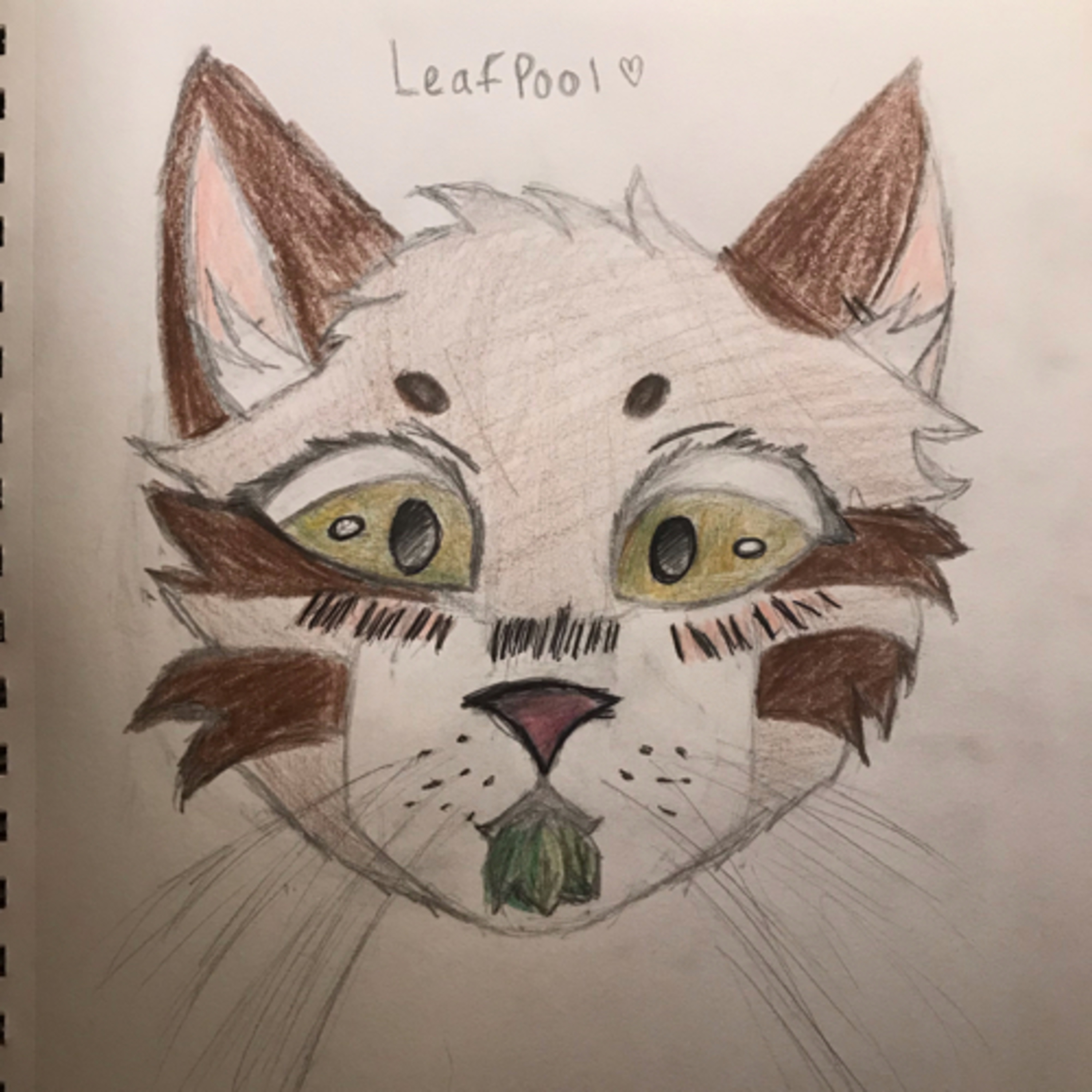 Talking: Leafpool episode artwork