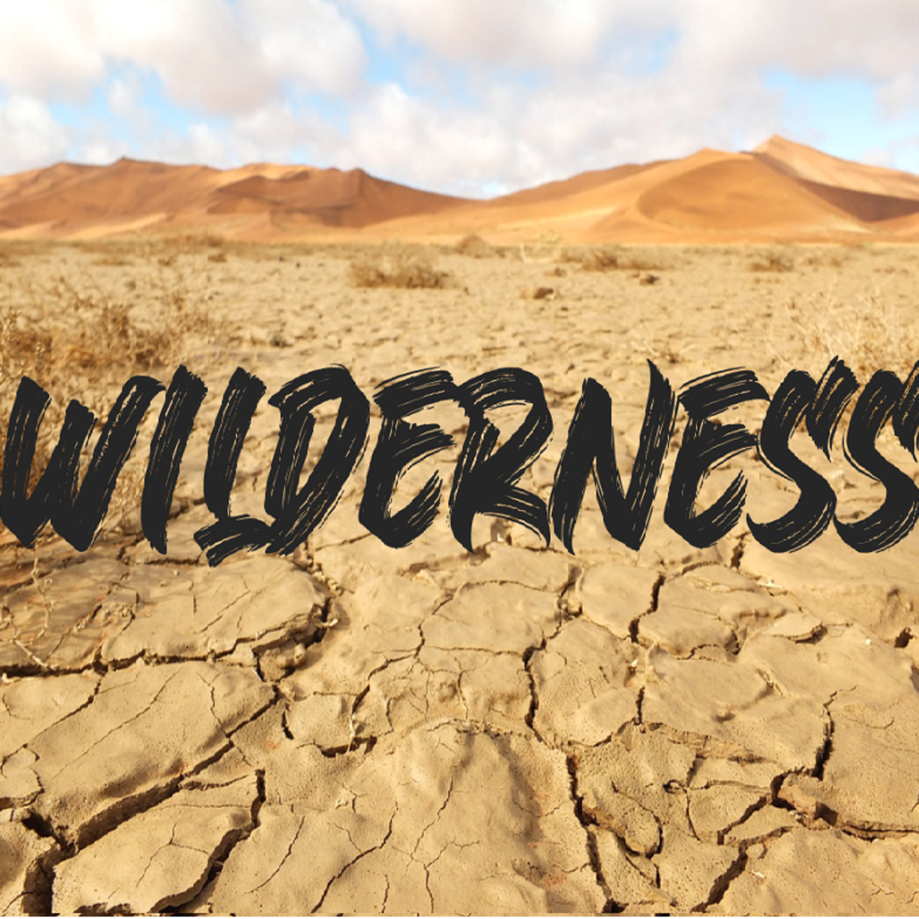 Wilderness pt 1 episode artwork