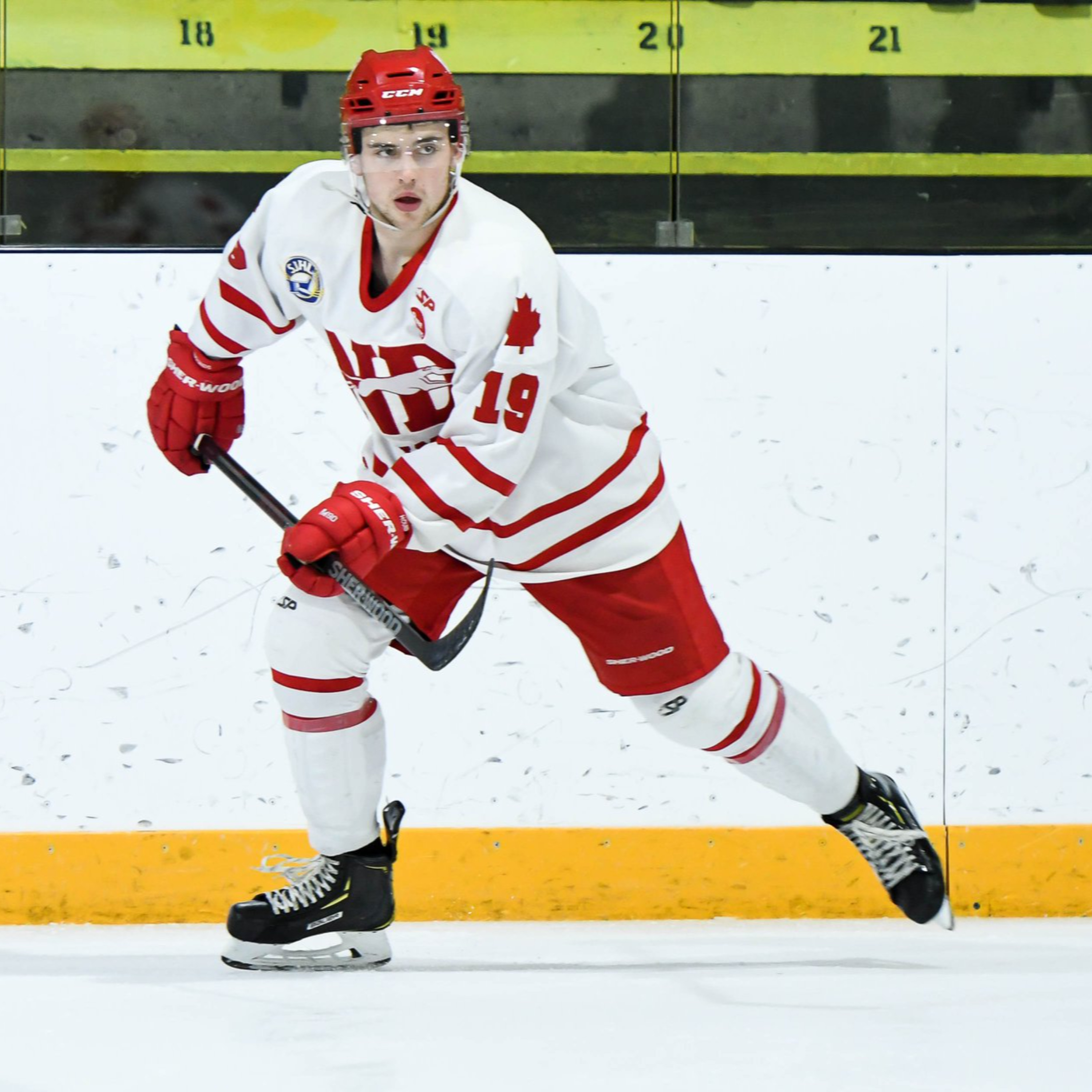 Hounds forward Jake Dale just ahead of the pre-season episode artwork