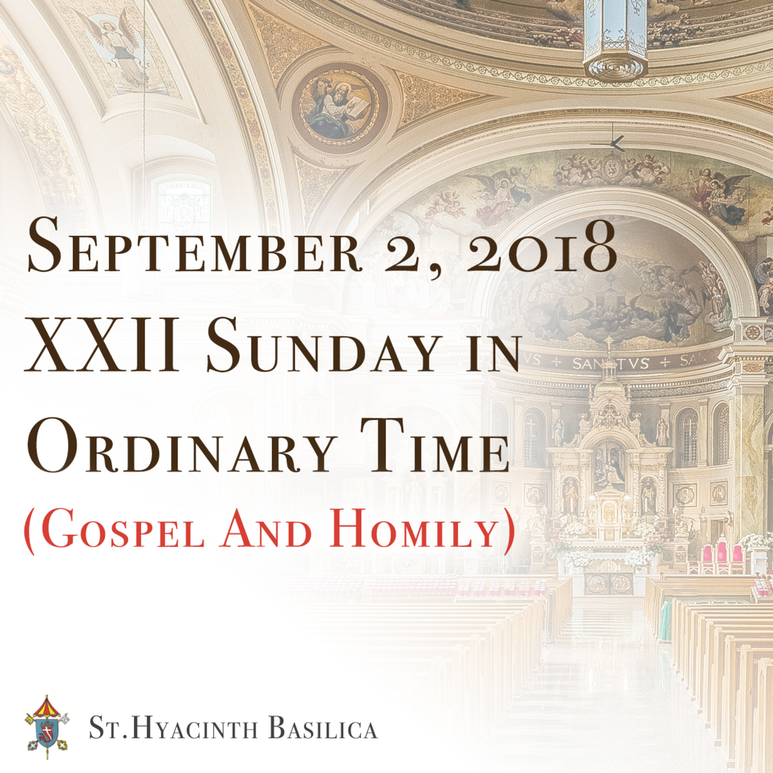 St. Hyacinth Basilica - Sunday Gospel & Homilies