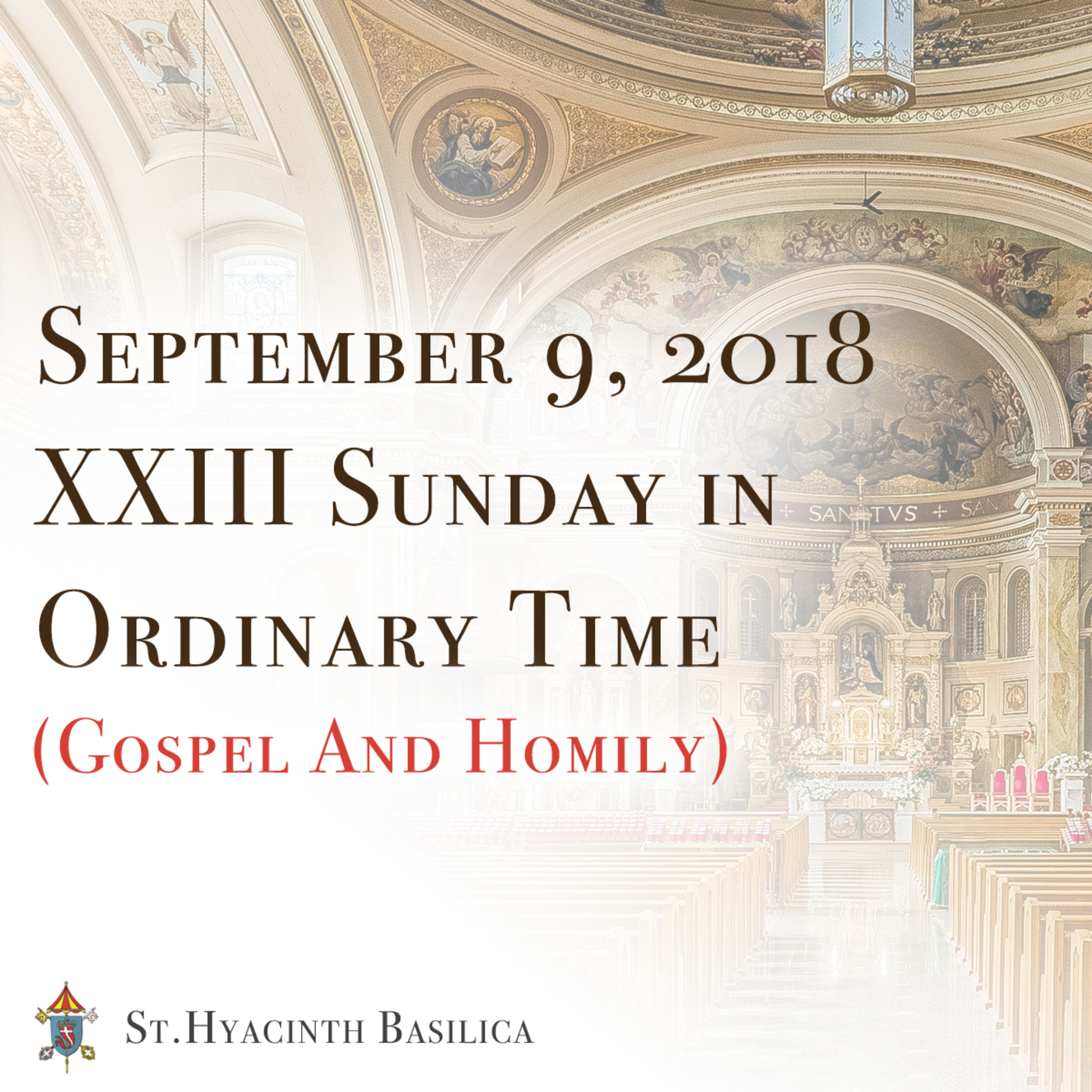St. Hyacinth Basilica - Sunday Gospel & Homilies