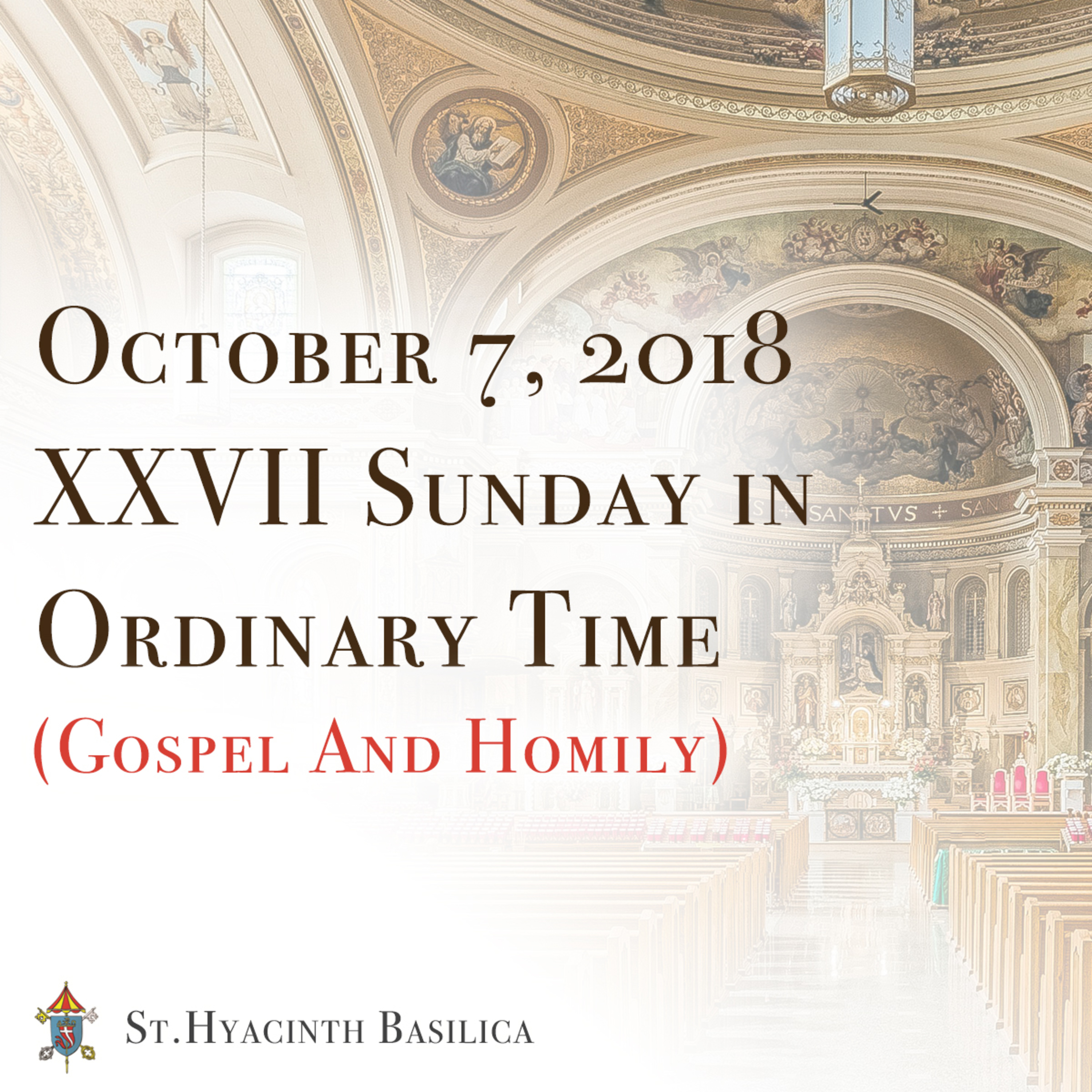St. Hyacinth Basilica - Sunday Gospel & Homilies