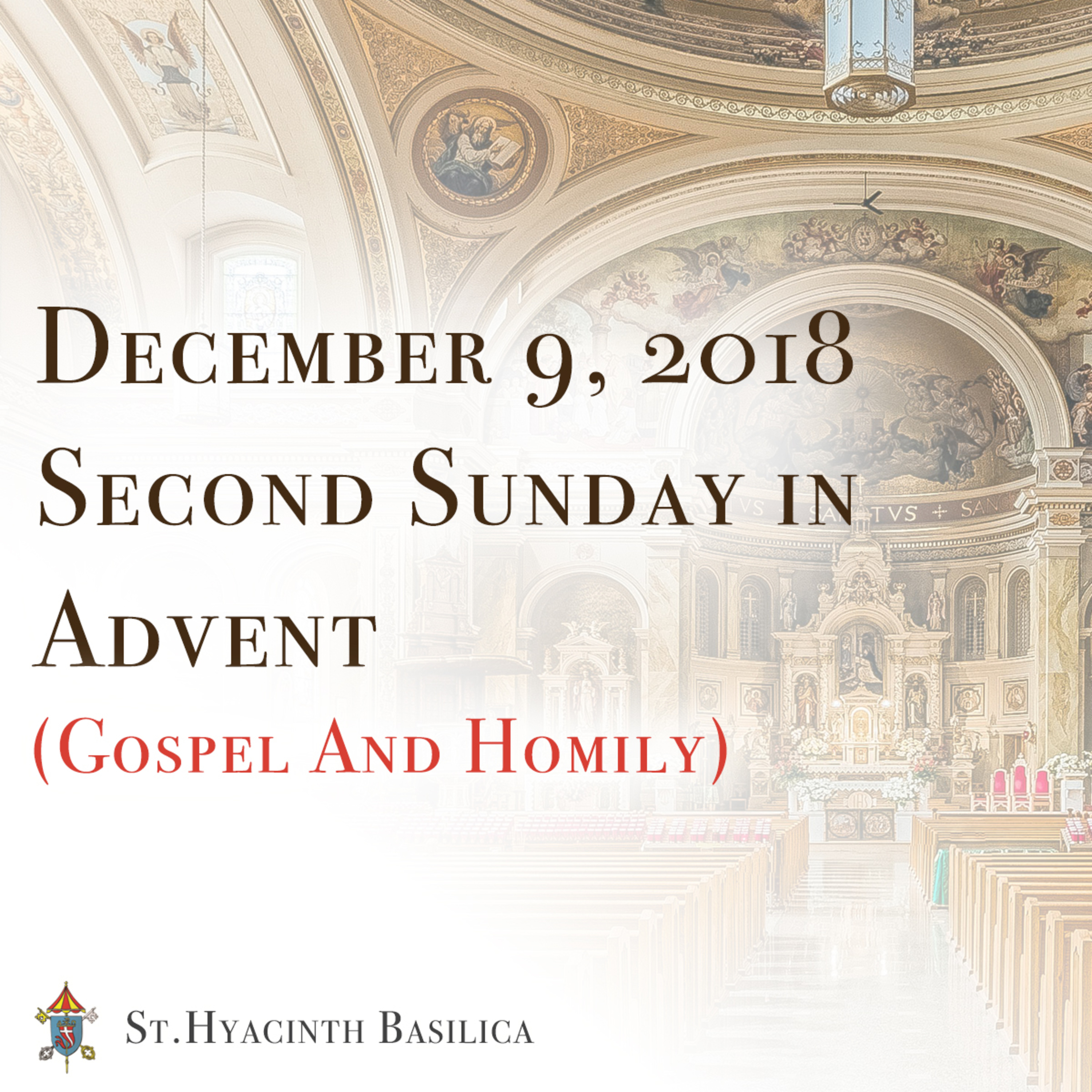 St. Hyacinth Basilica - Sunday Gospel & Homilies