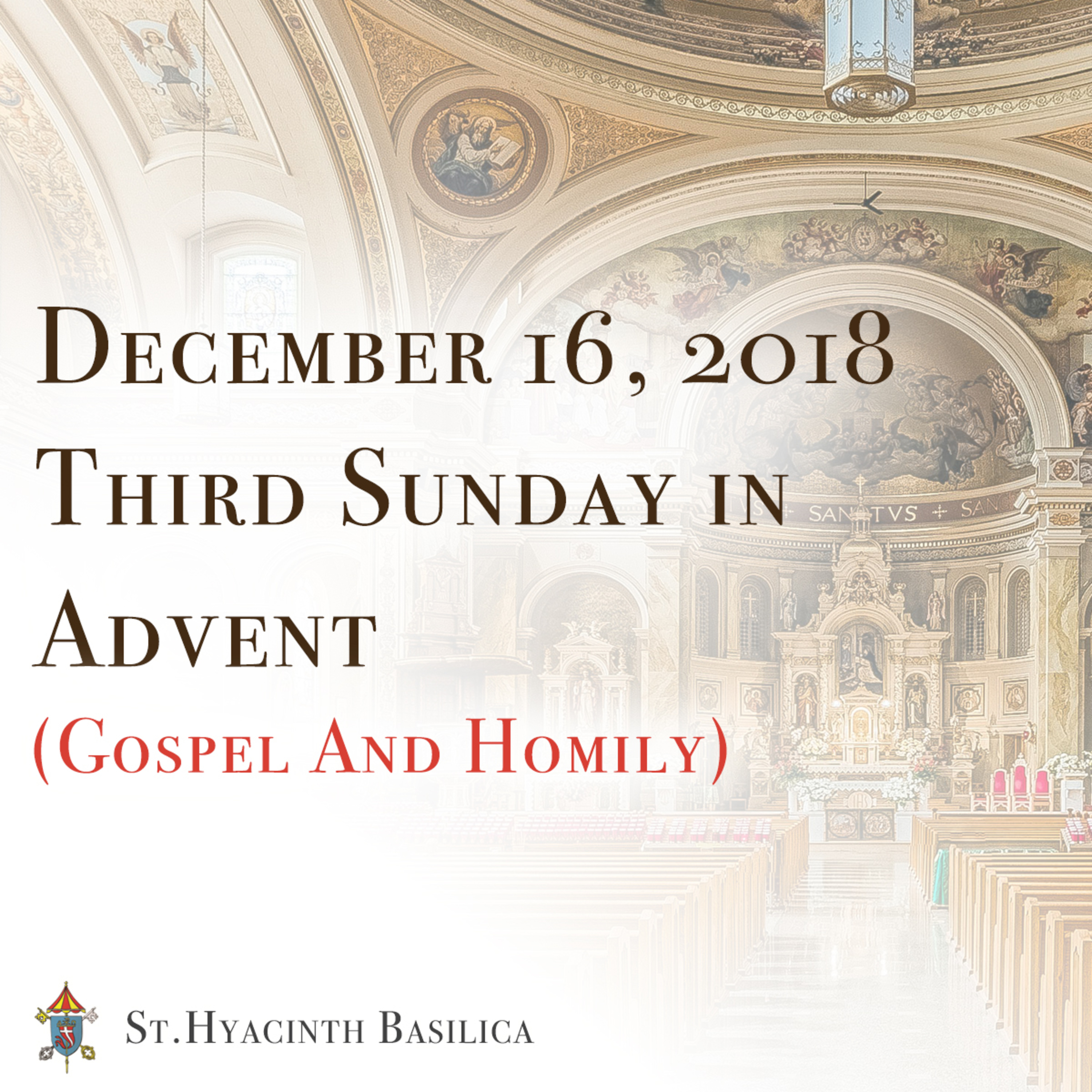 St. Hyacinth Basilica - Sunday Gospel & Homilies