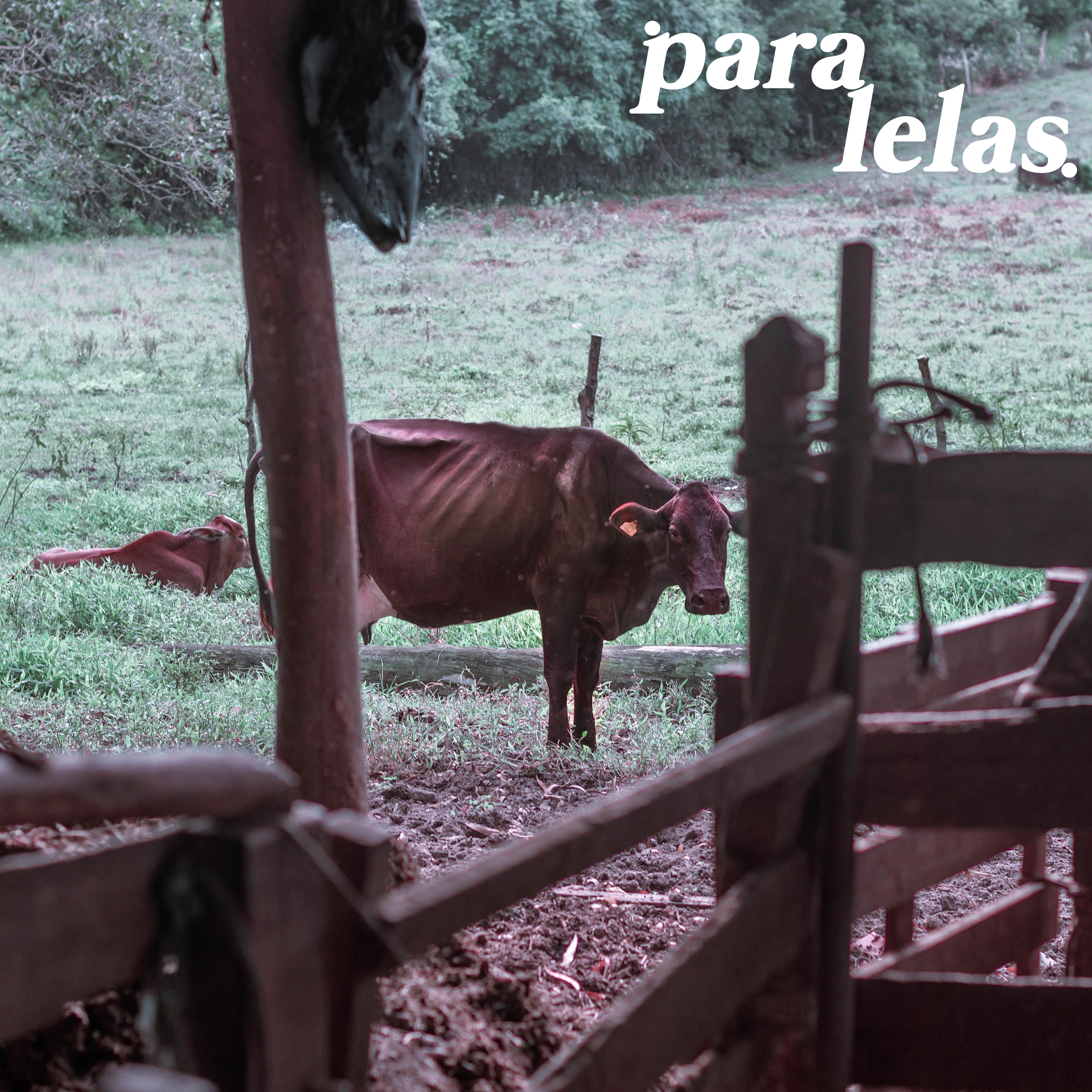 Paralelas - O Podcast da Bento Leão