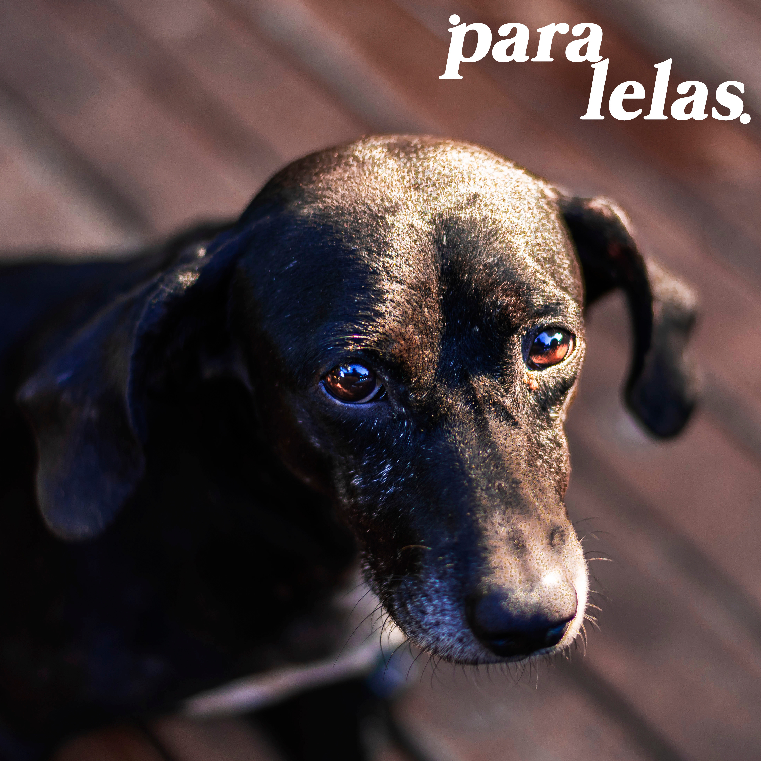 Paralelas - O Podcast da Bento Leão