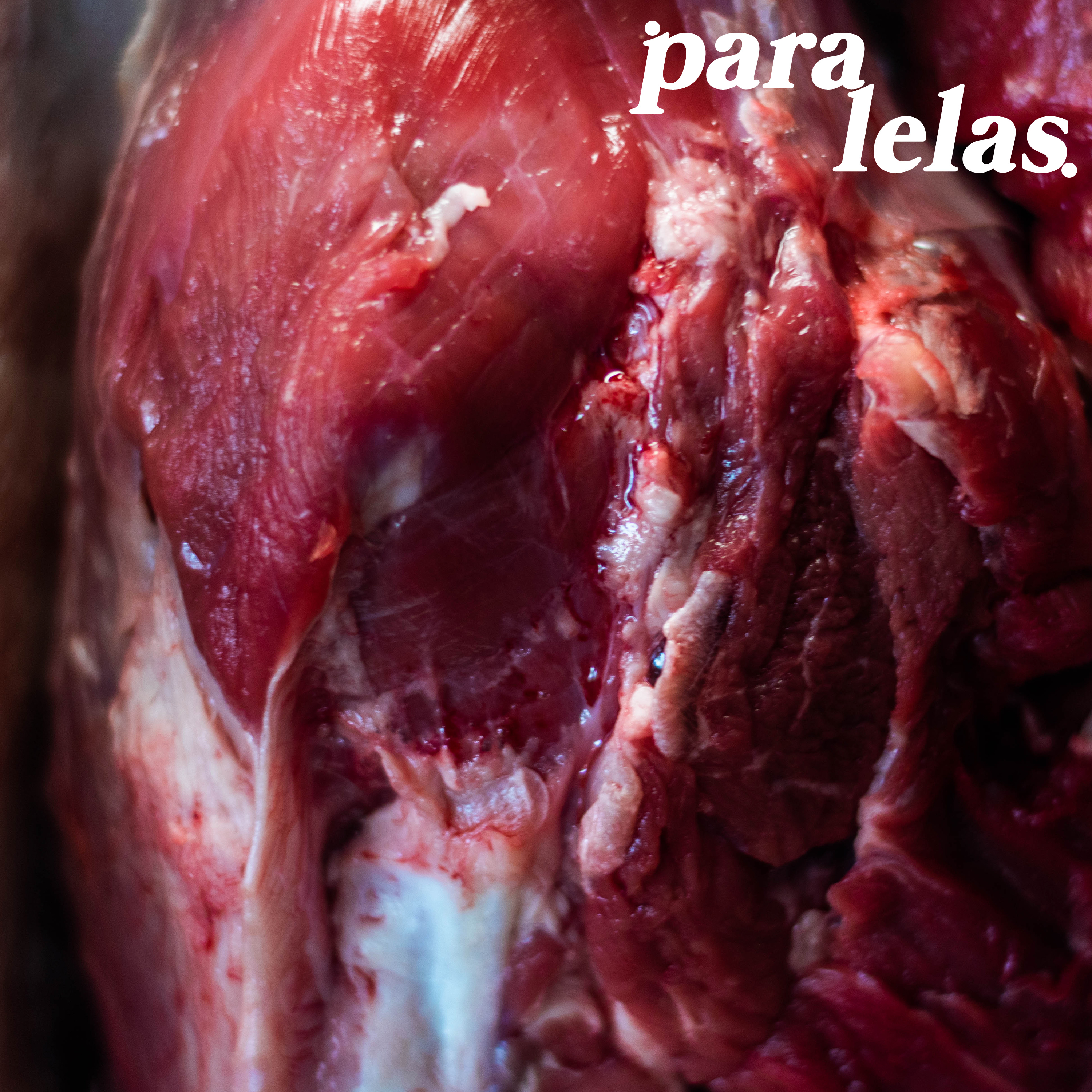 Paralelas - O Podcast da Bento Leão