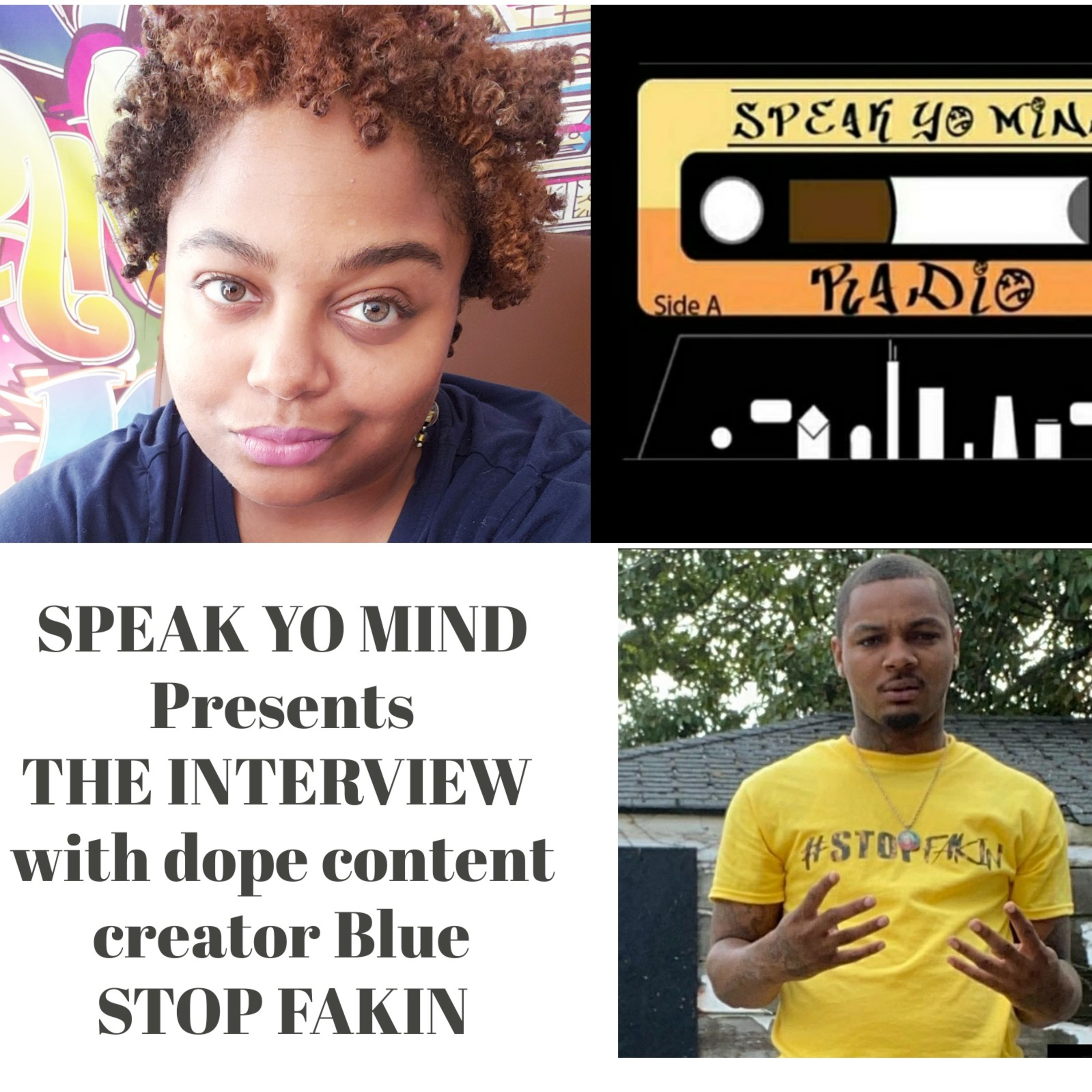 STOP FAKIN episode artwork