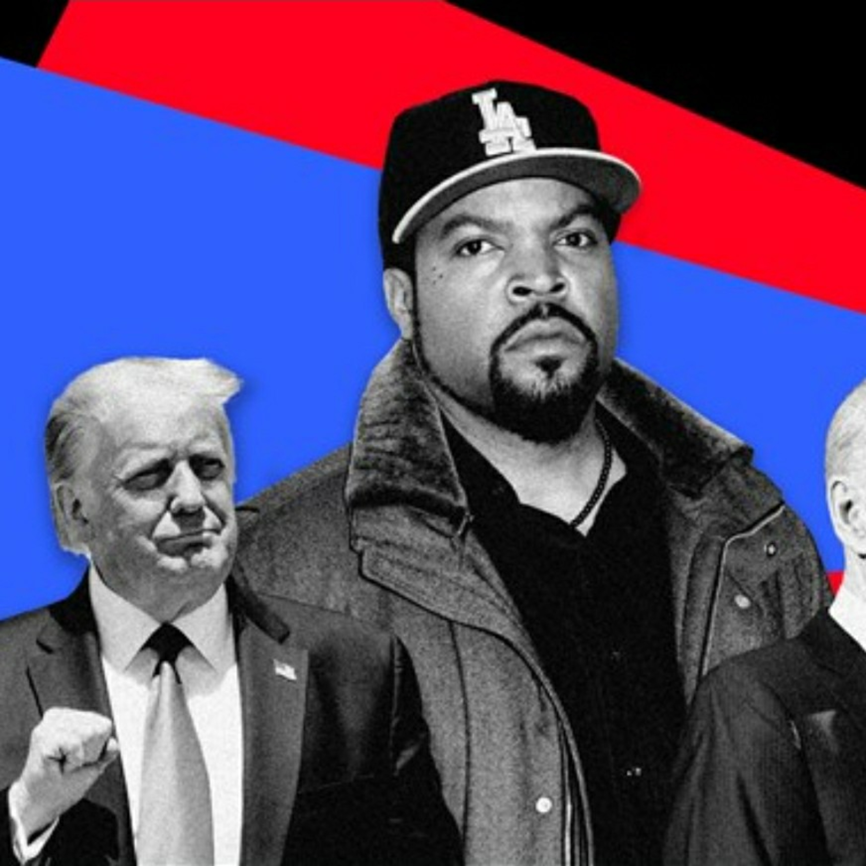 Trump Support (NO MUSIC). episode artwork