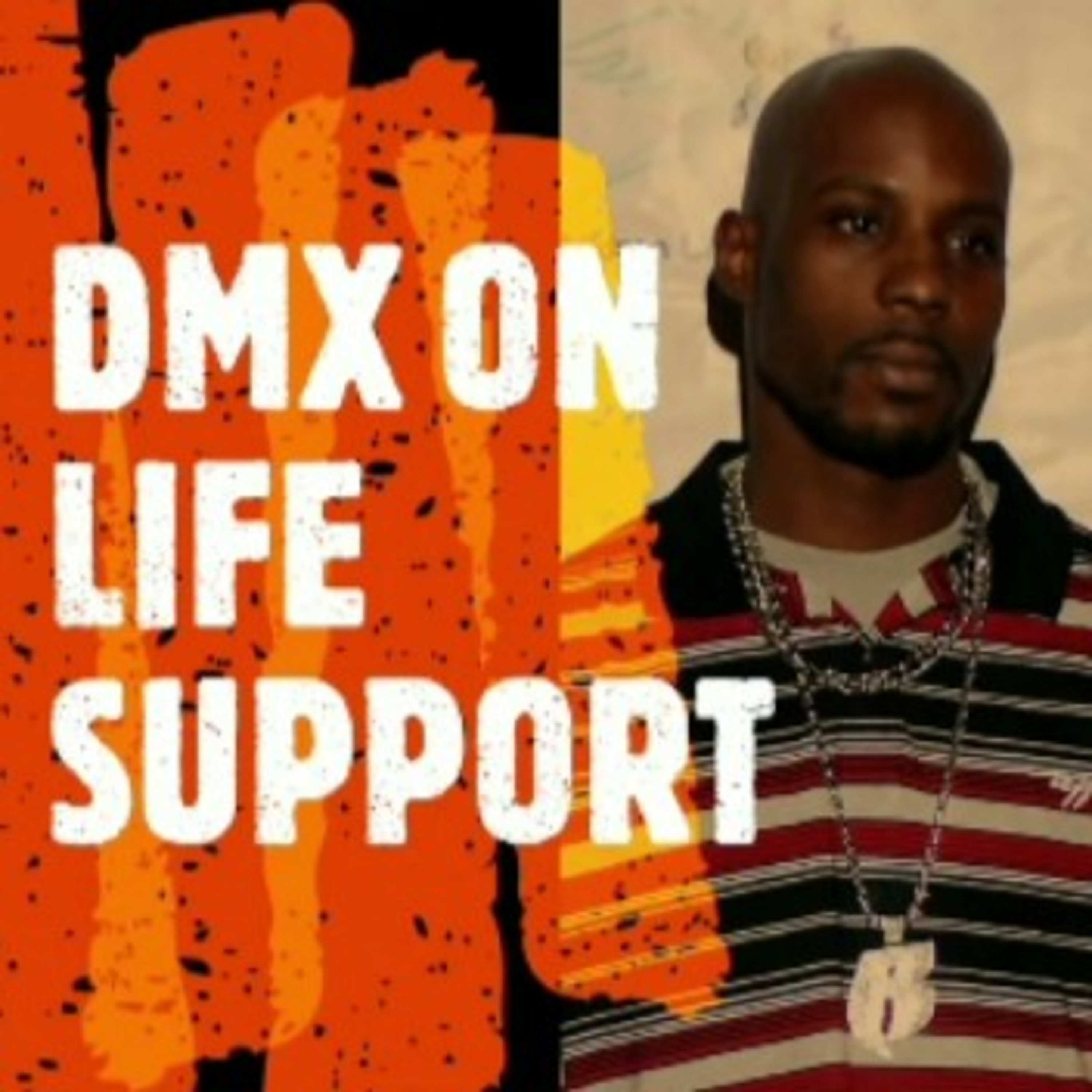 DMX: Prayer Vigil Held For The Rapper As He Remains Hospitalized episode artwork